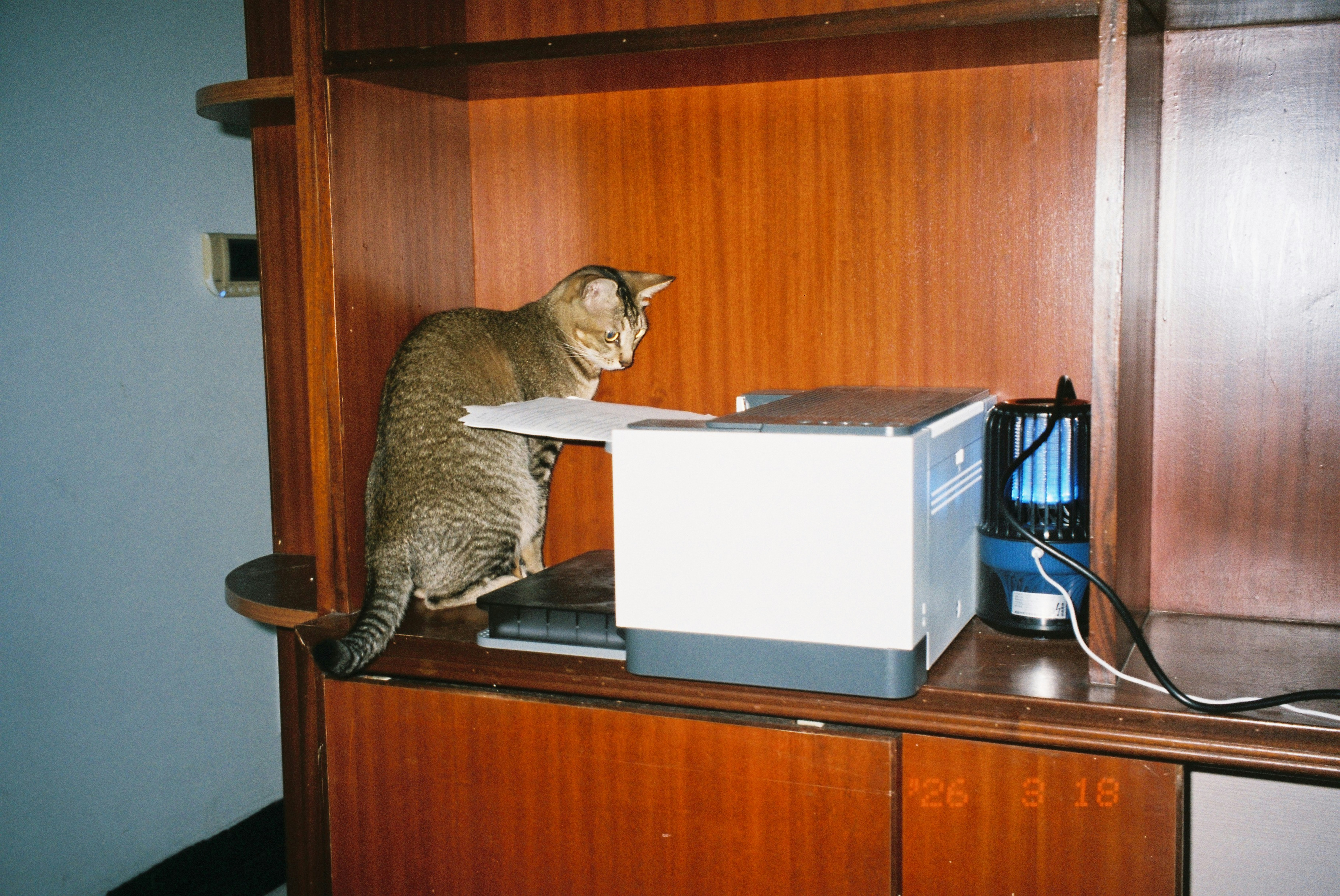 MAD Bugs : Même "cat readme.txt" n'est pas sûr