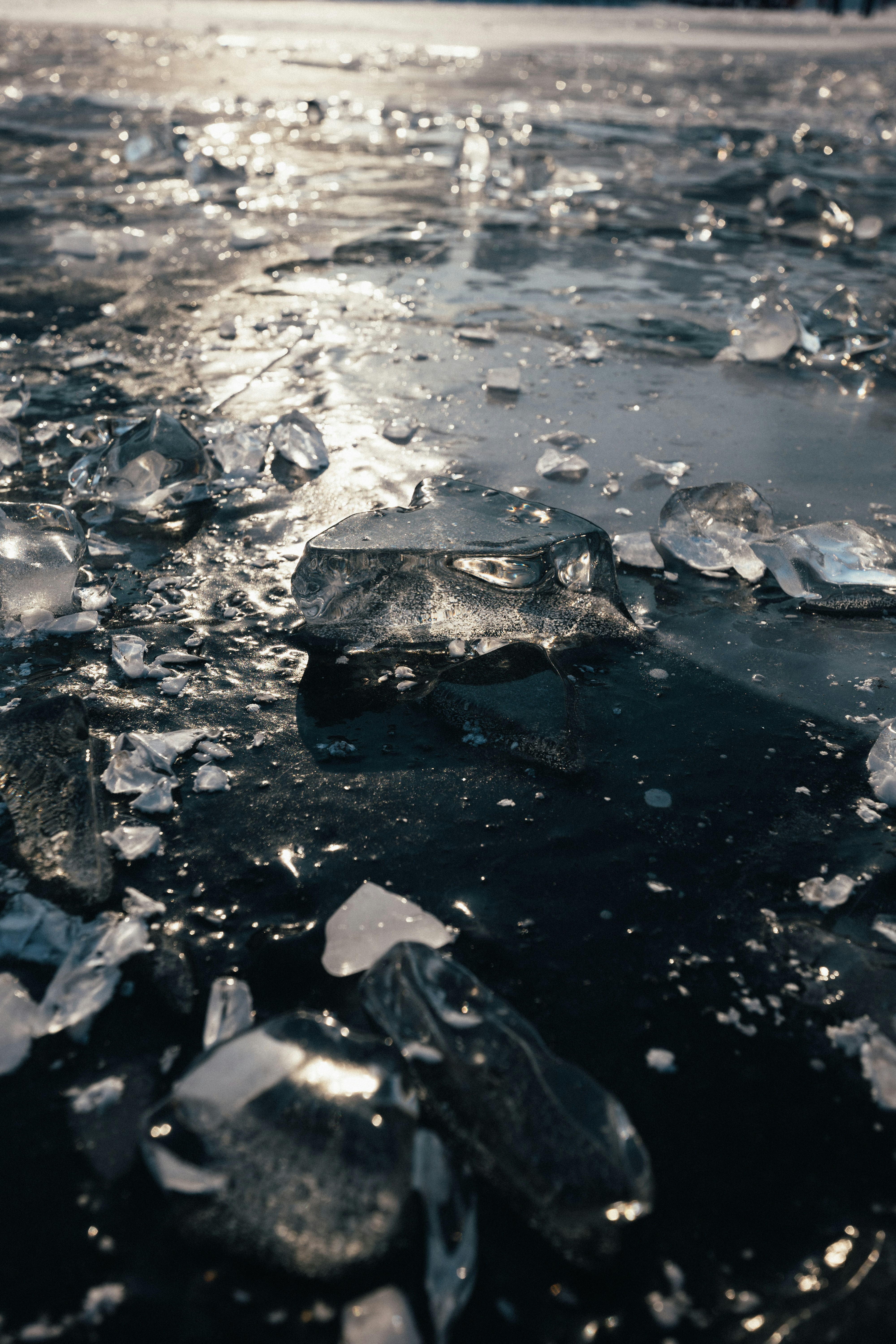 Des morceaux de glace brisée sur une surface sombre et gelée.