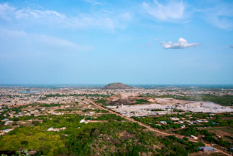 Aerial view of a sprawling city with a distant mountain.