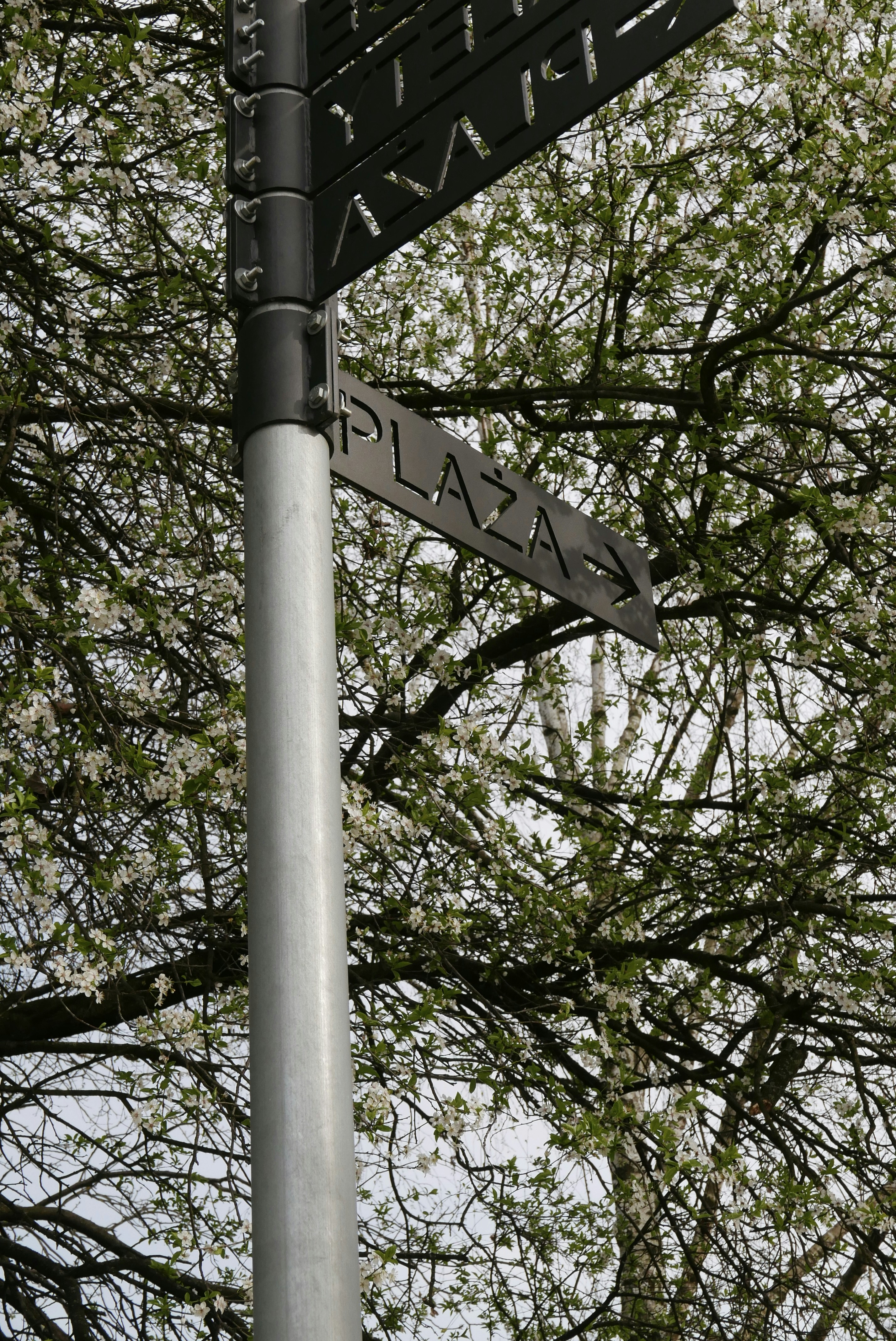 Straßenschild, das auf einen Platz mit Bäumen zeigt.