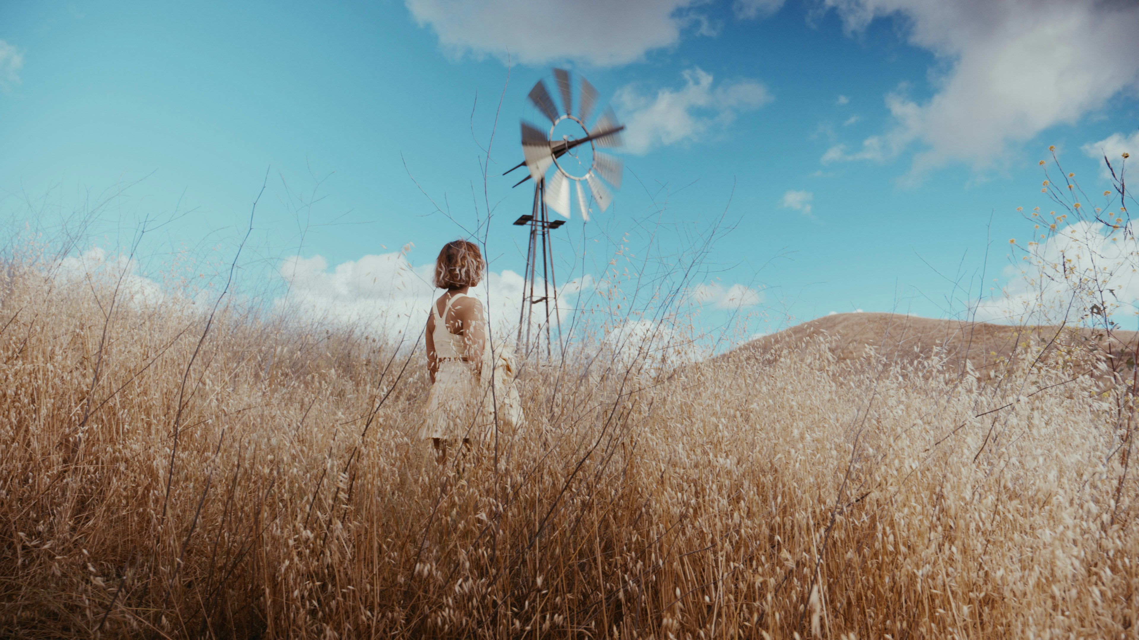 Child in a field with a windmill in the background