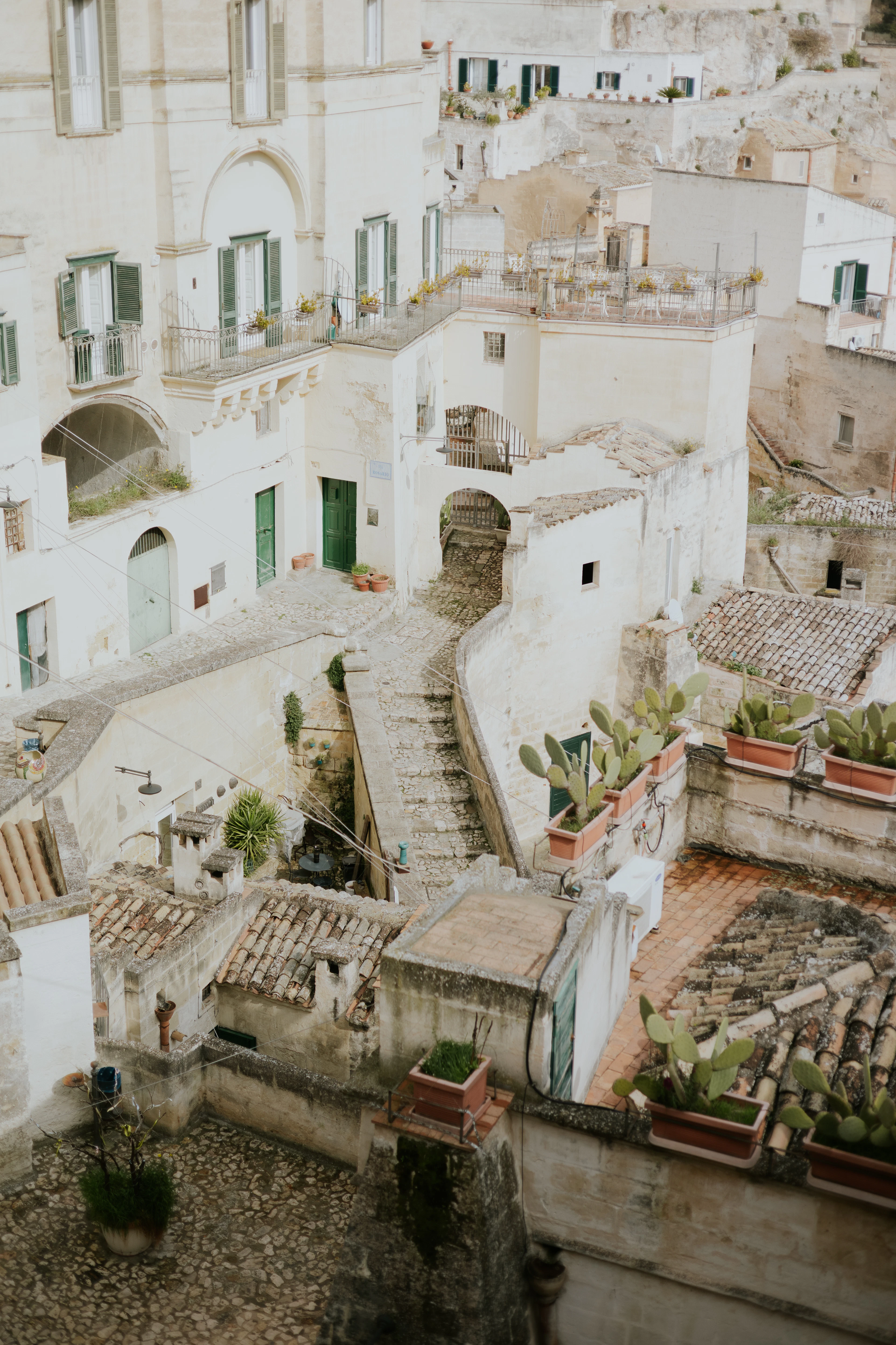 Pale limestone houses, stairways and terraces with potted cacti packed tightly together in Matera's Sassi
