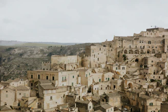 Ancient stone buildings carved into a hillside