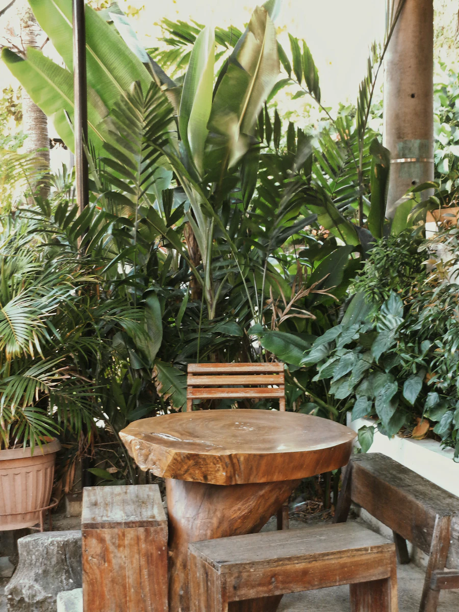 Cozy plant-filled corner at Niicha Café