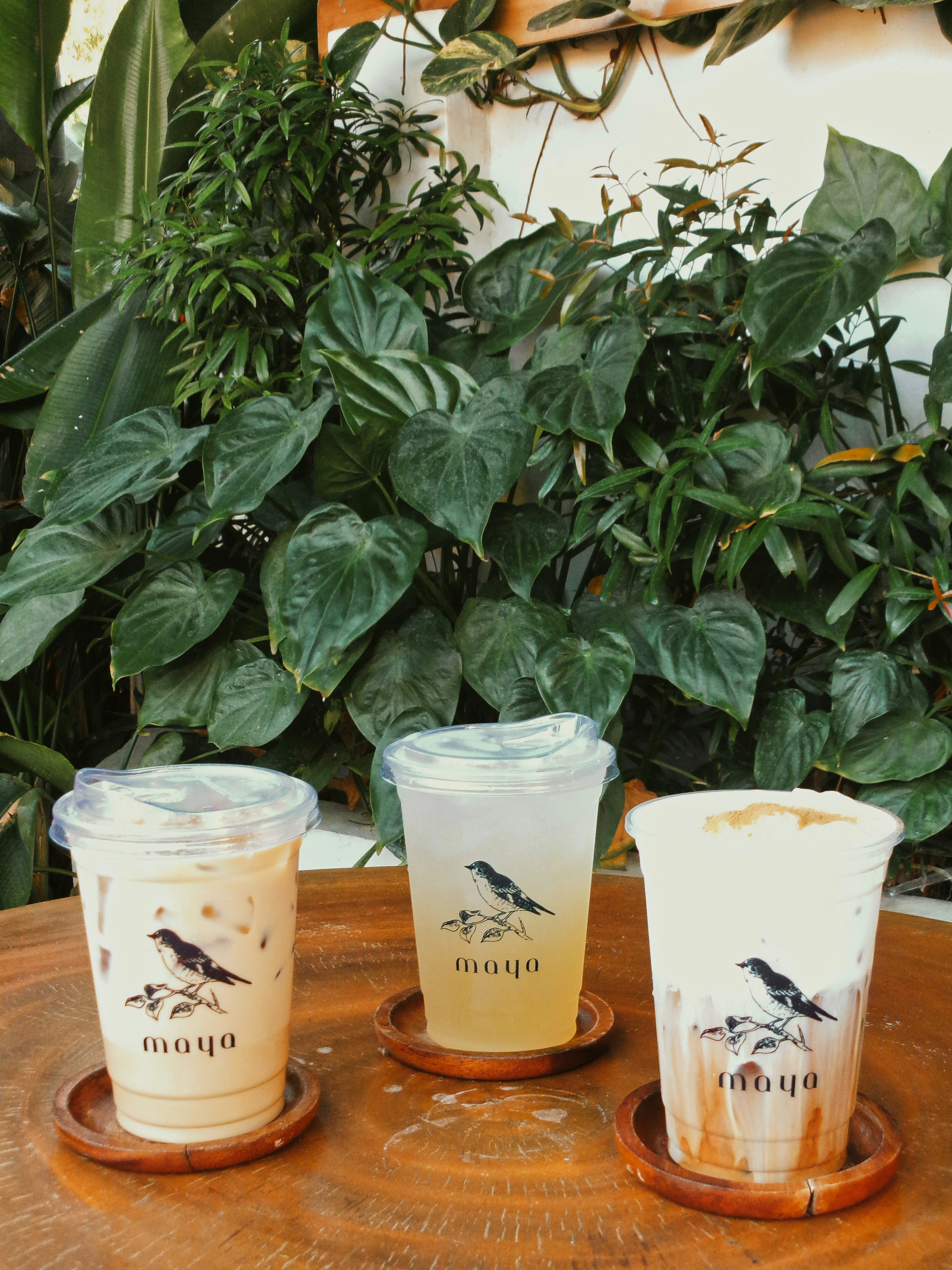 Tiga minuman es di atas meja kayu dengan tanaman.