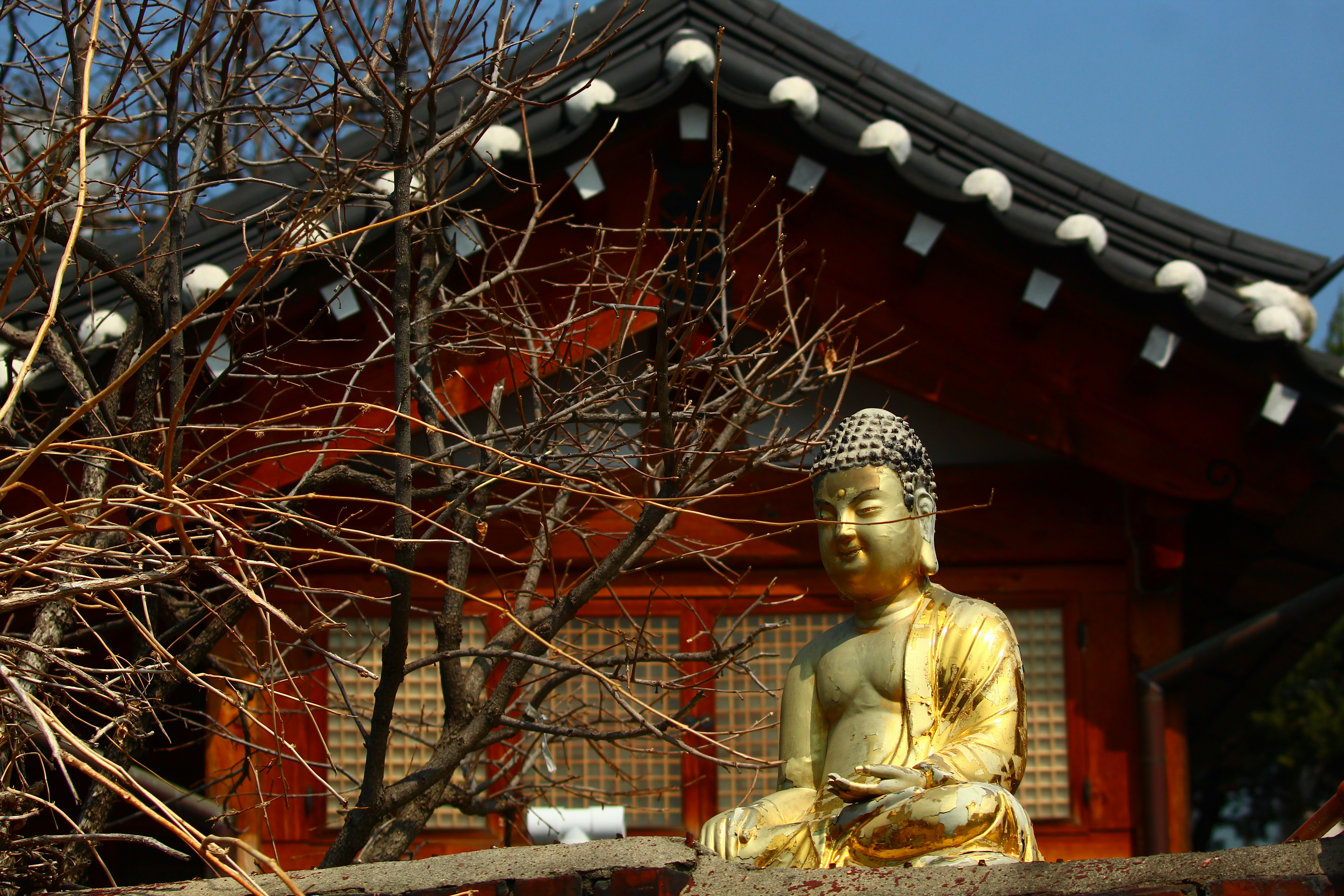 temple meditation