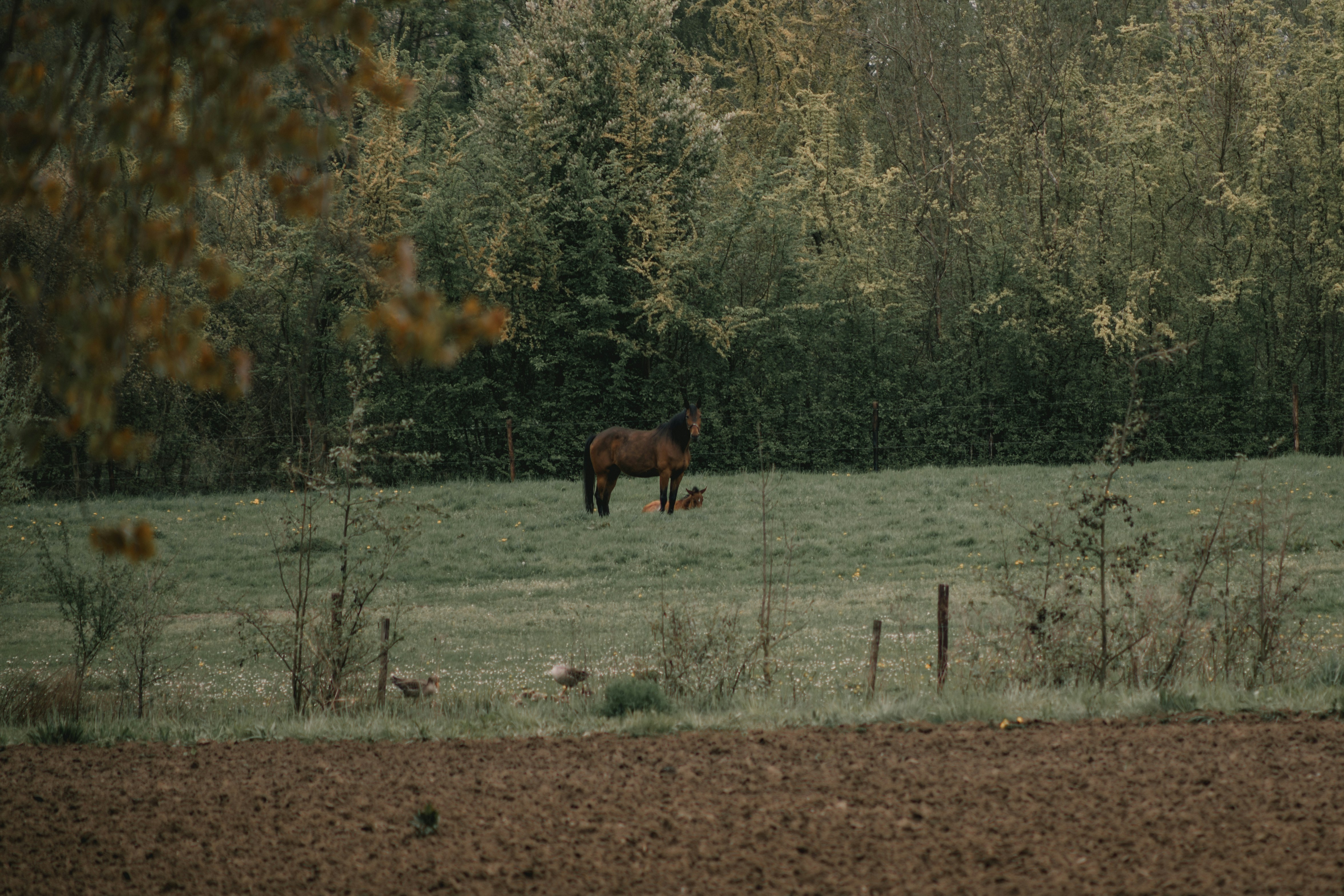 Photo by needeeja