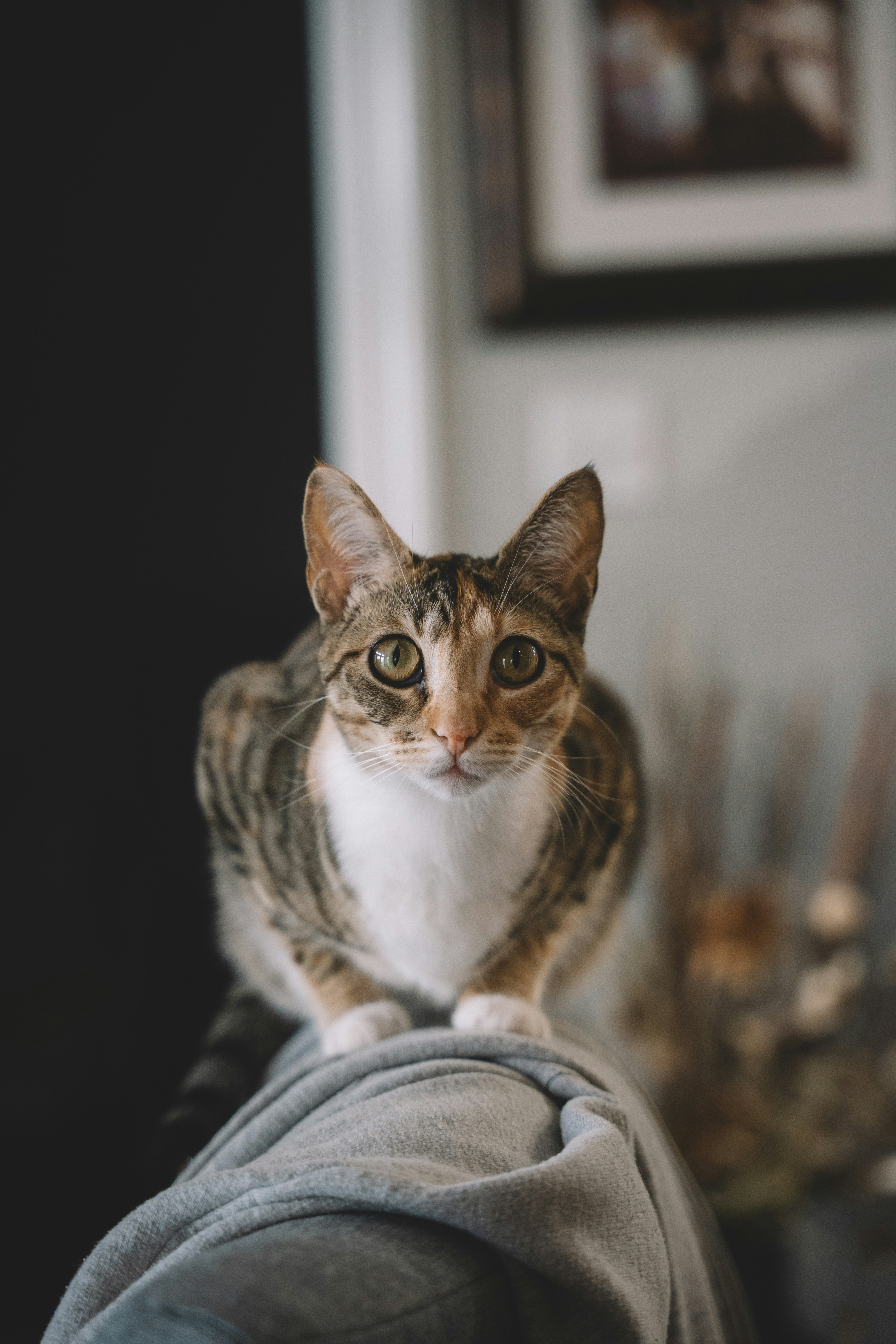 Photo by bradikancars