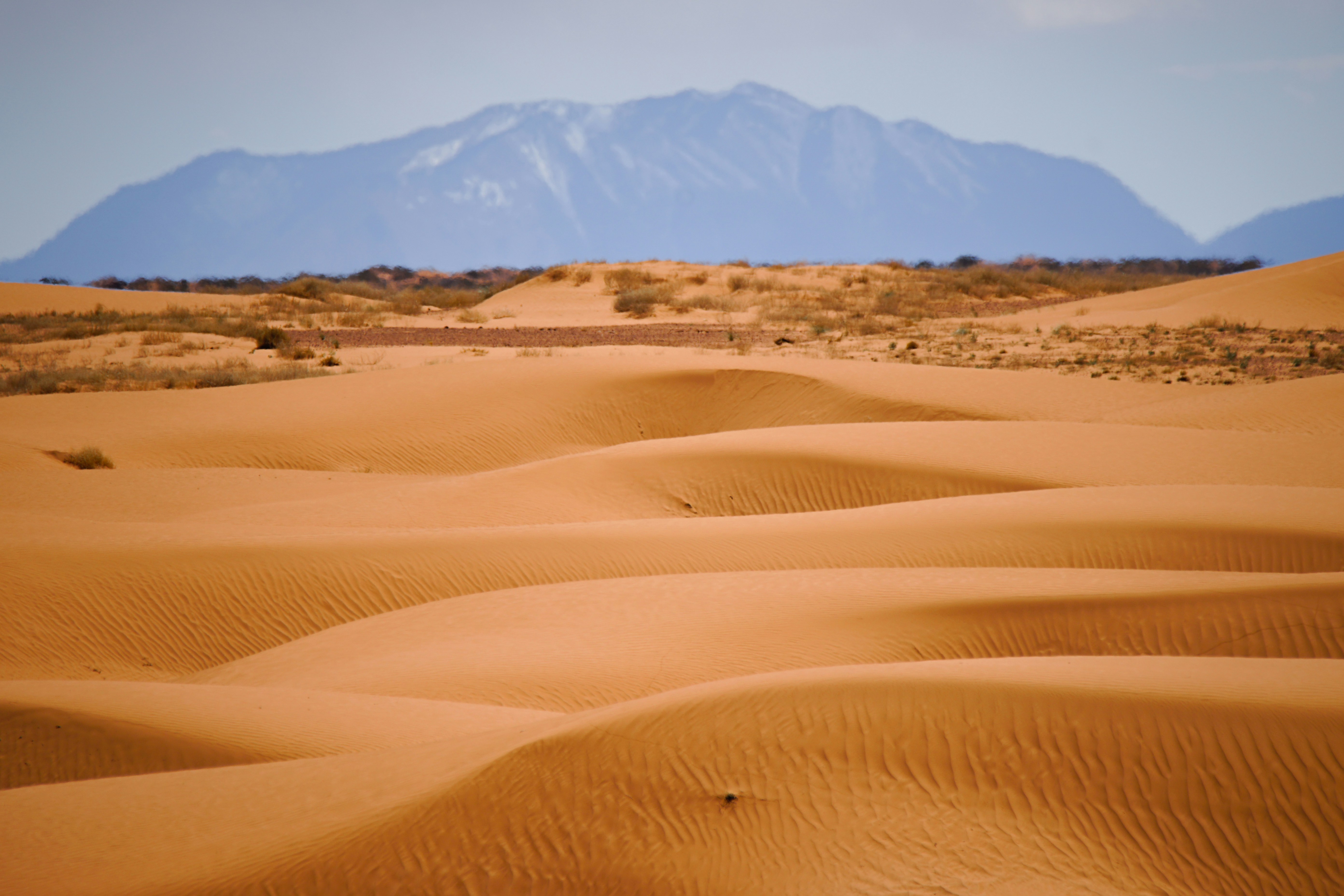 Golden sand dunes with distant mountains under a clear sky