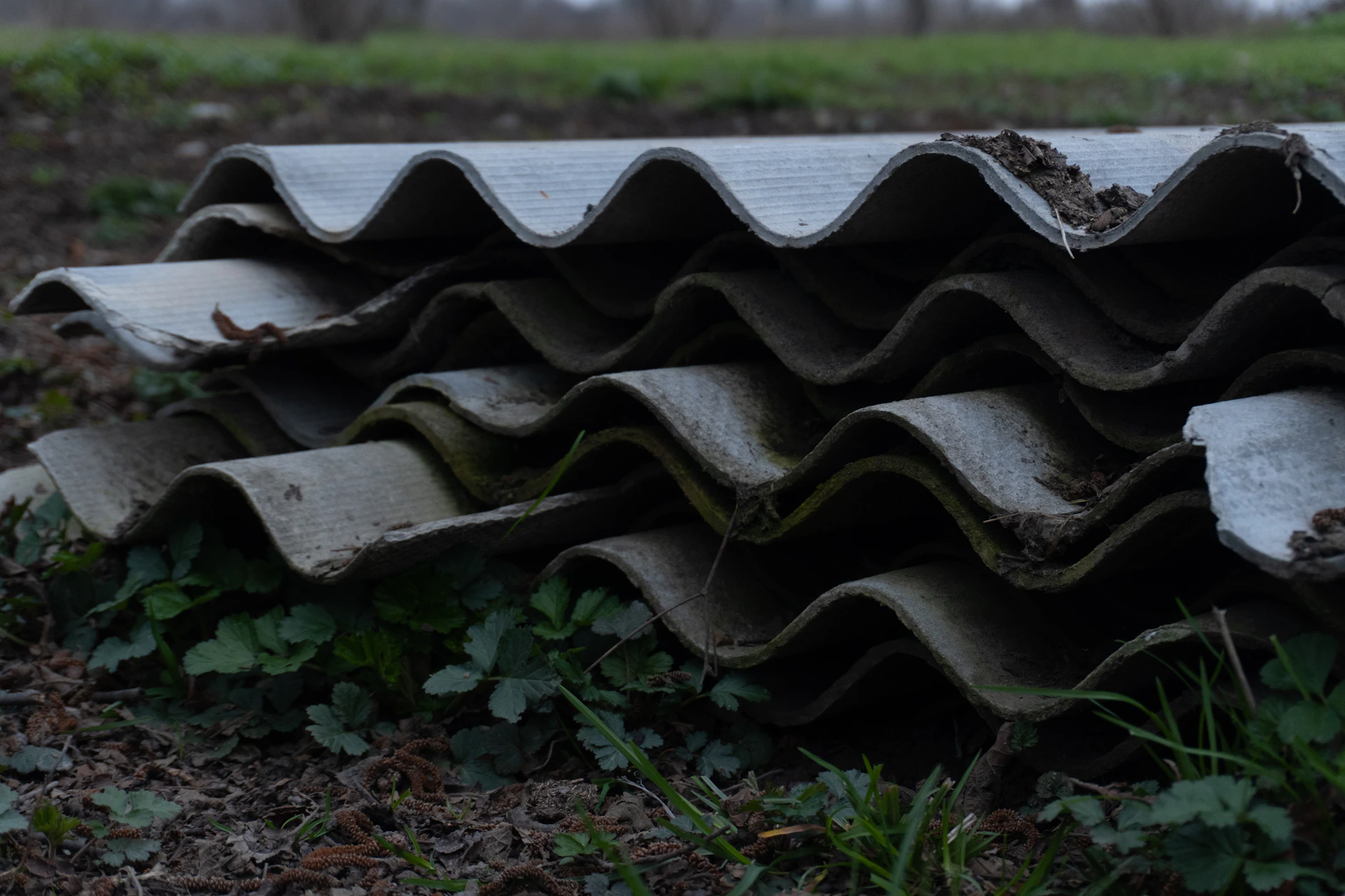 Stack of weathered corrugated asbestos cement sheets