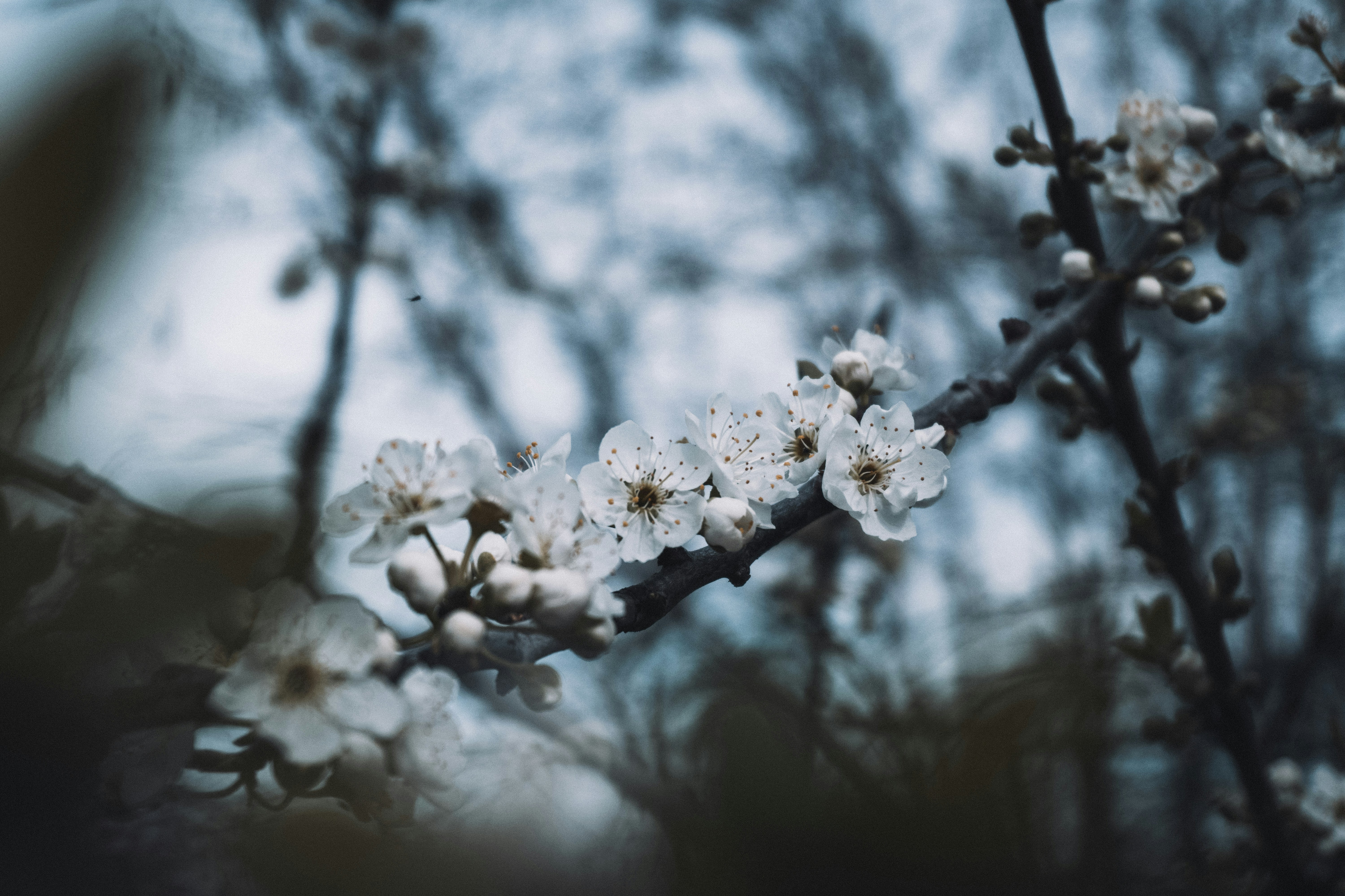 Photo by zulfugarkarimov
