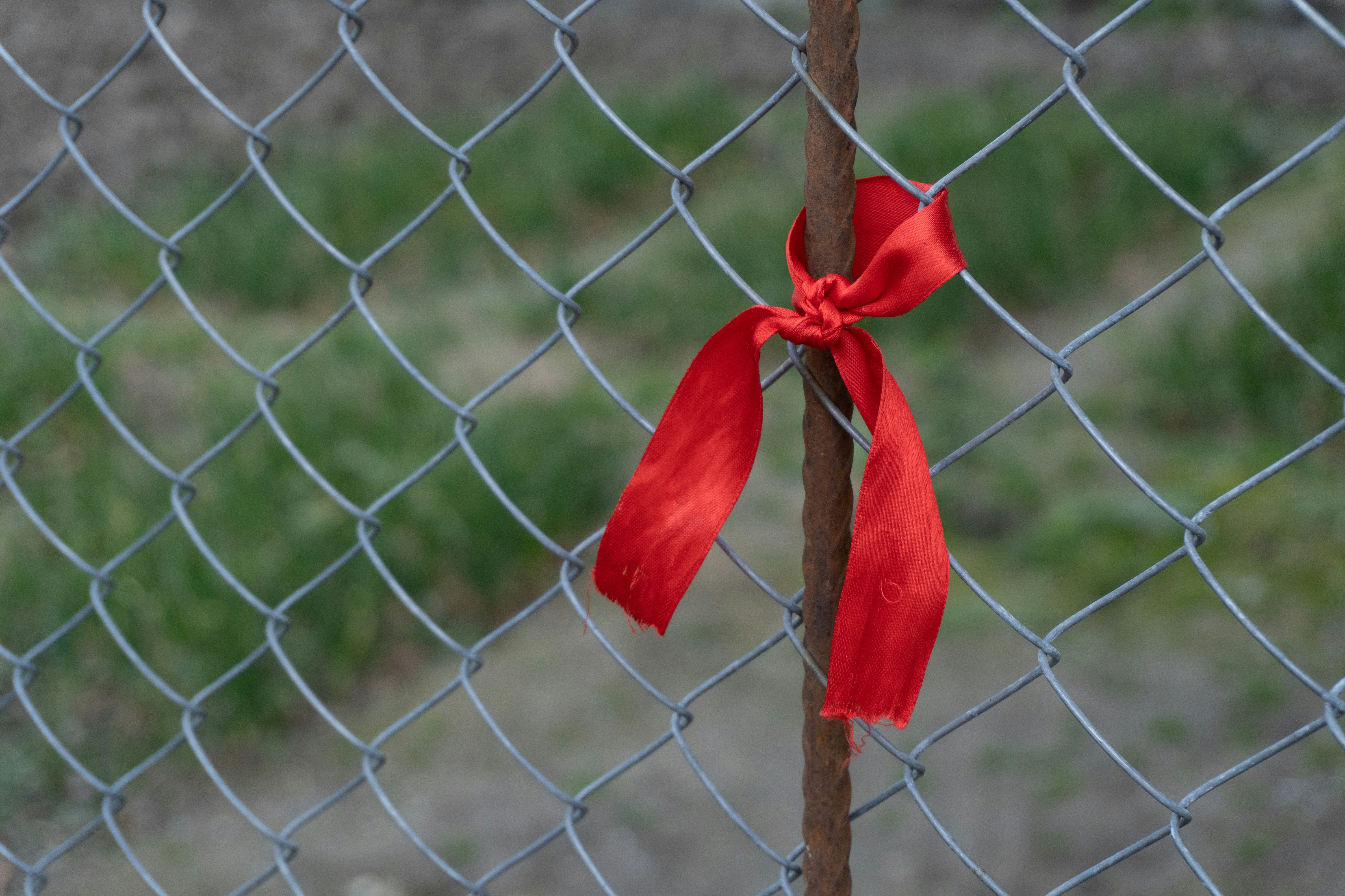 Red ribbon tied to a metal fence post.