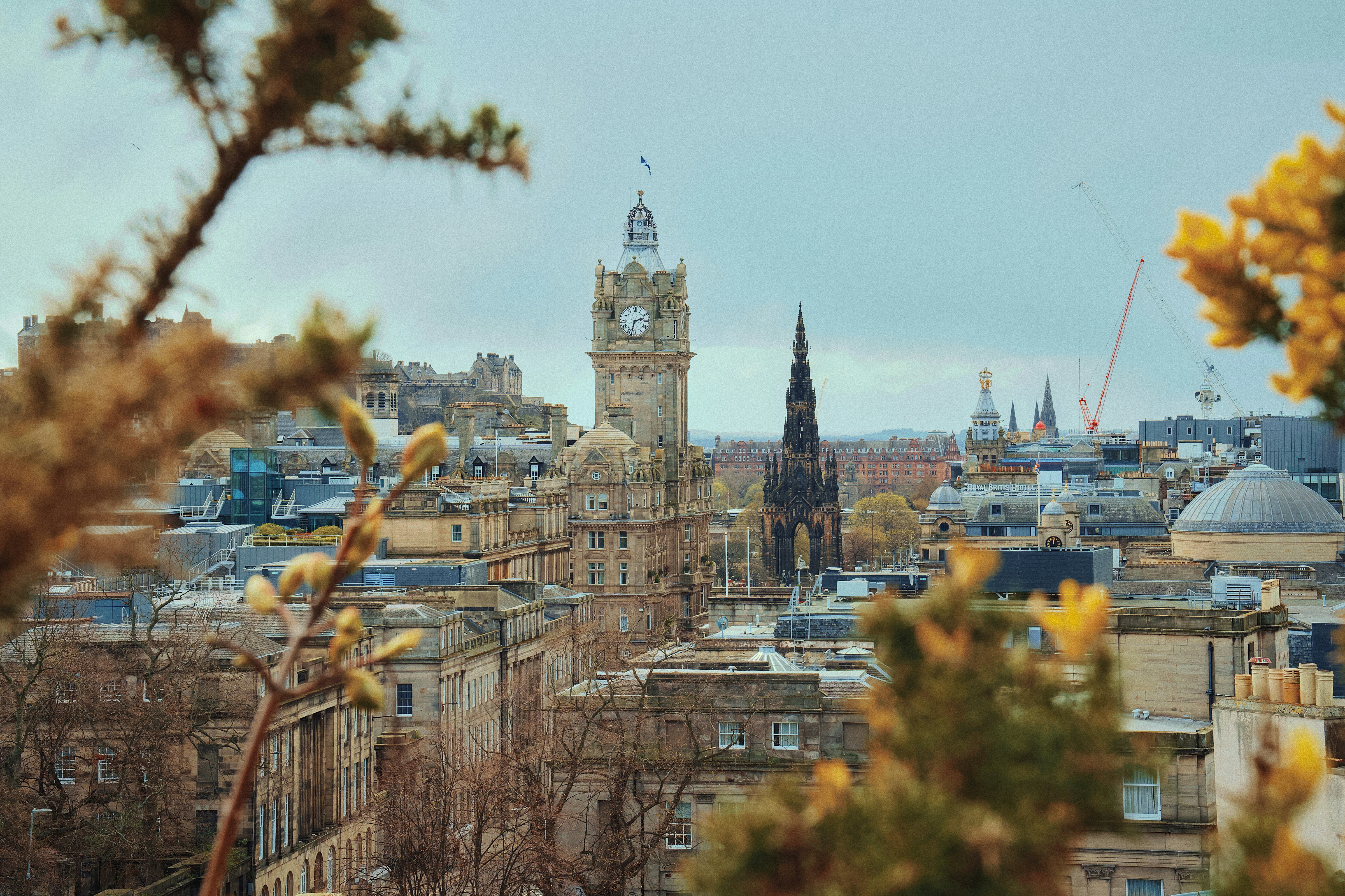 Cityscape with clock tower and spires through foliage