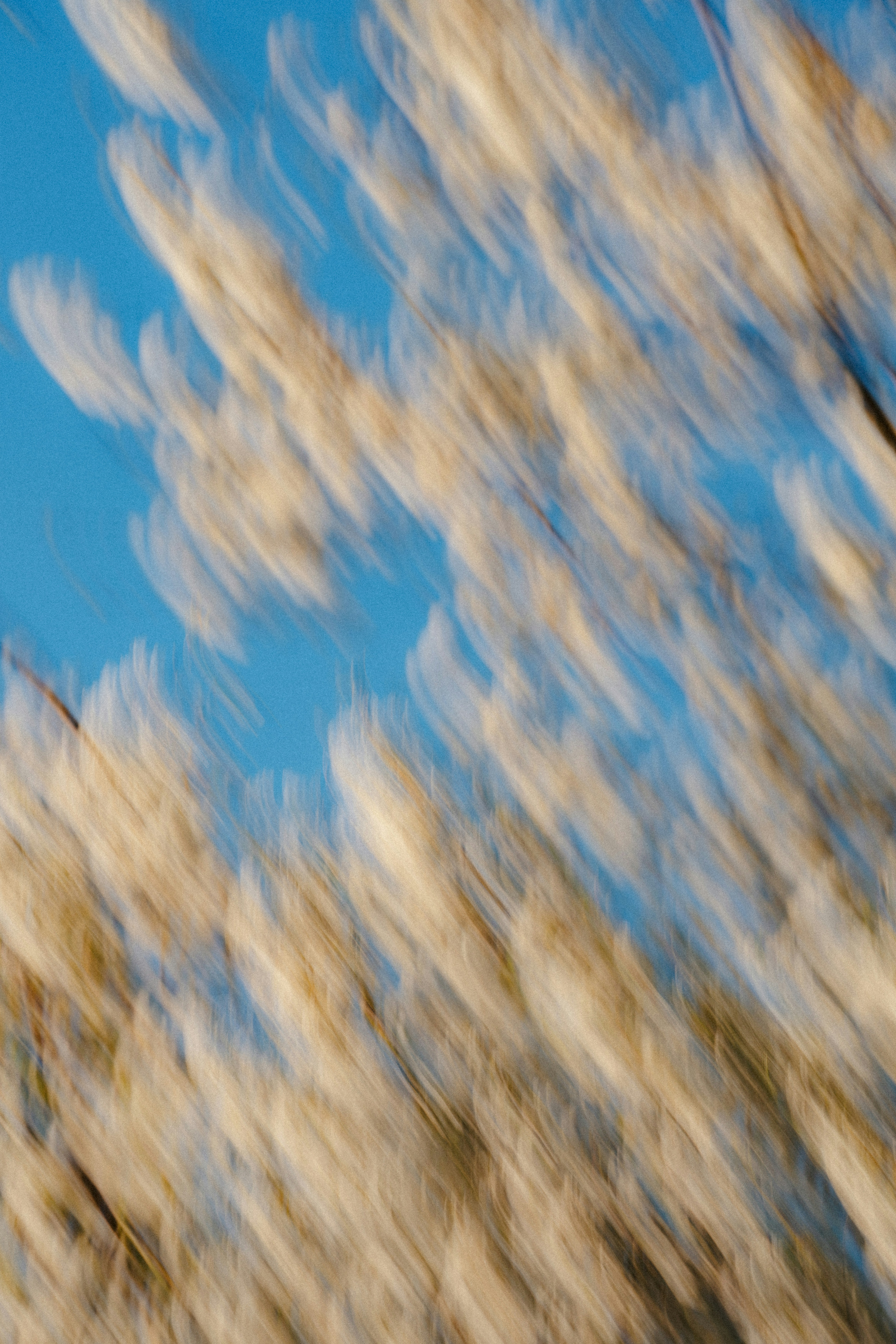 Motion-blurred portrait against an open blue sky
