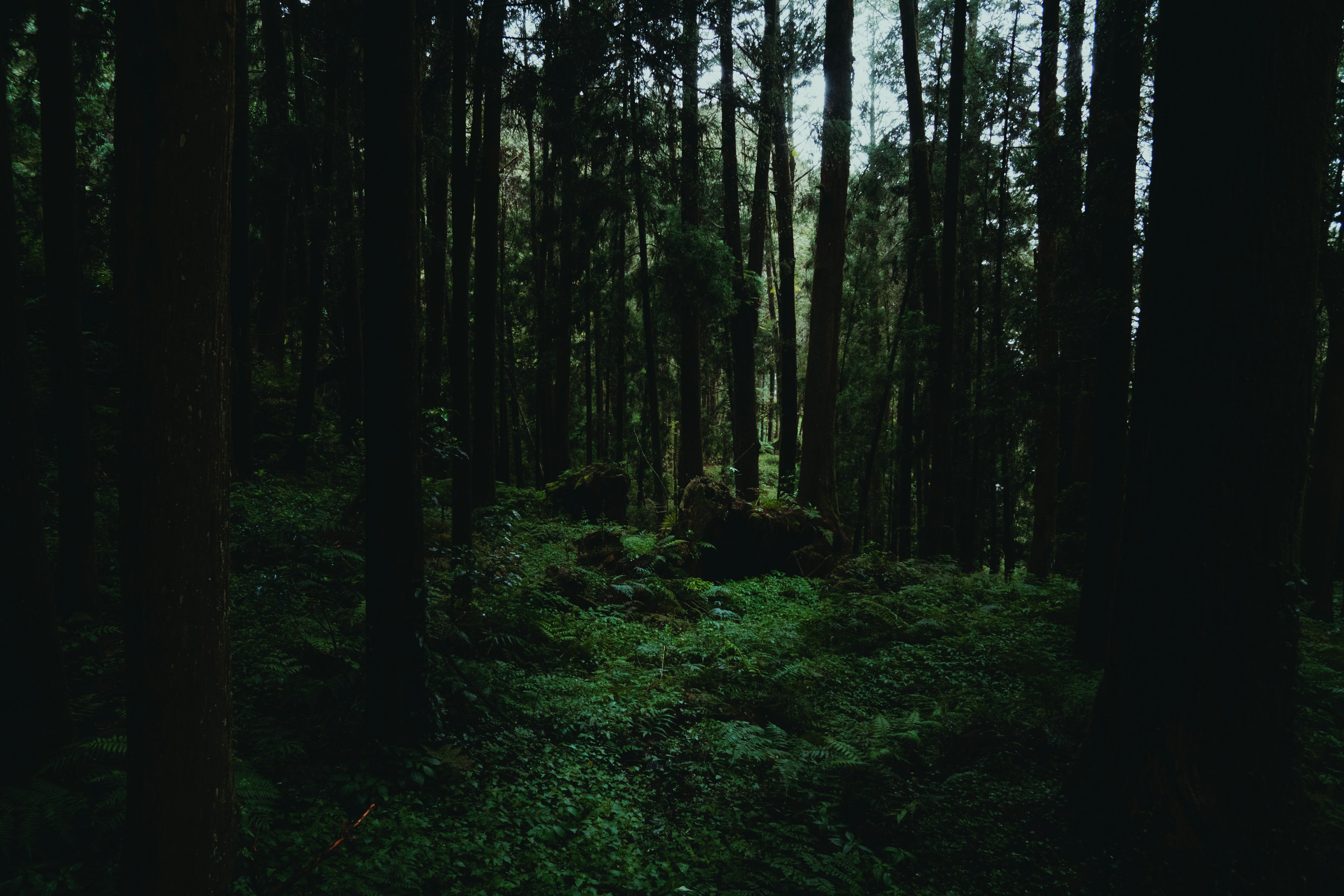 Photo by wvtvnvbe