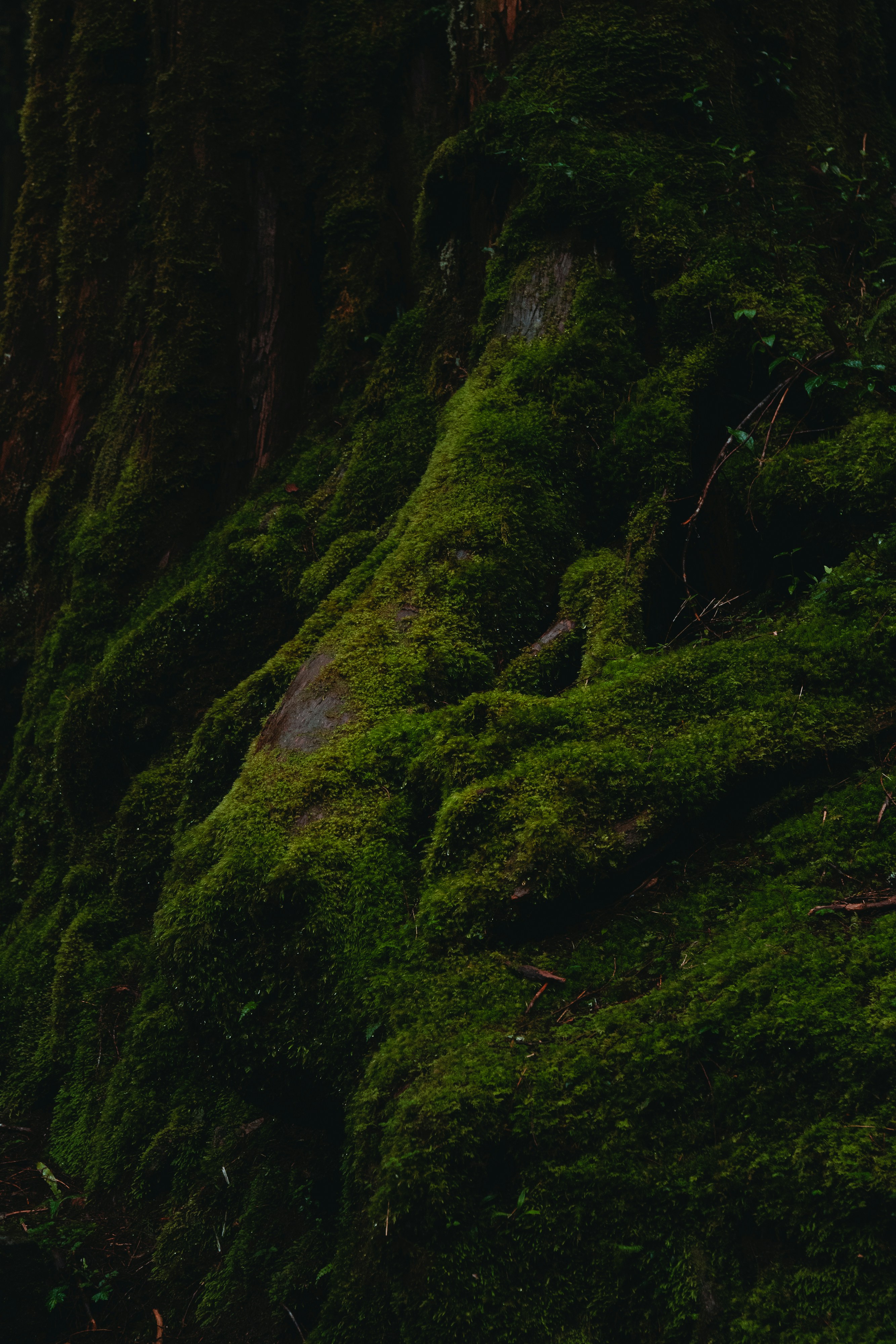 Photo by wvtvnvbe