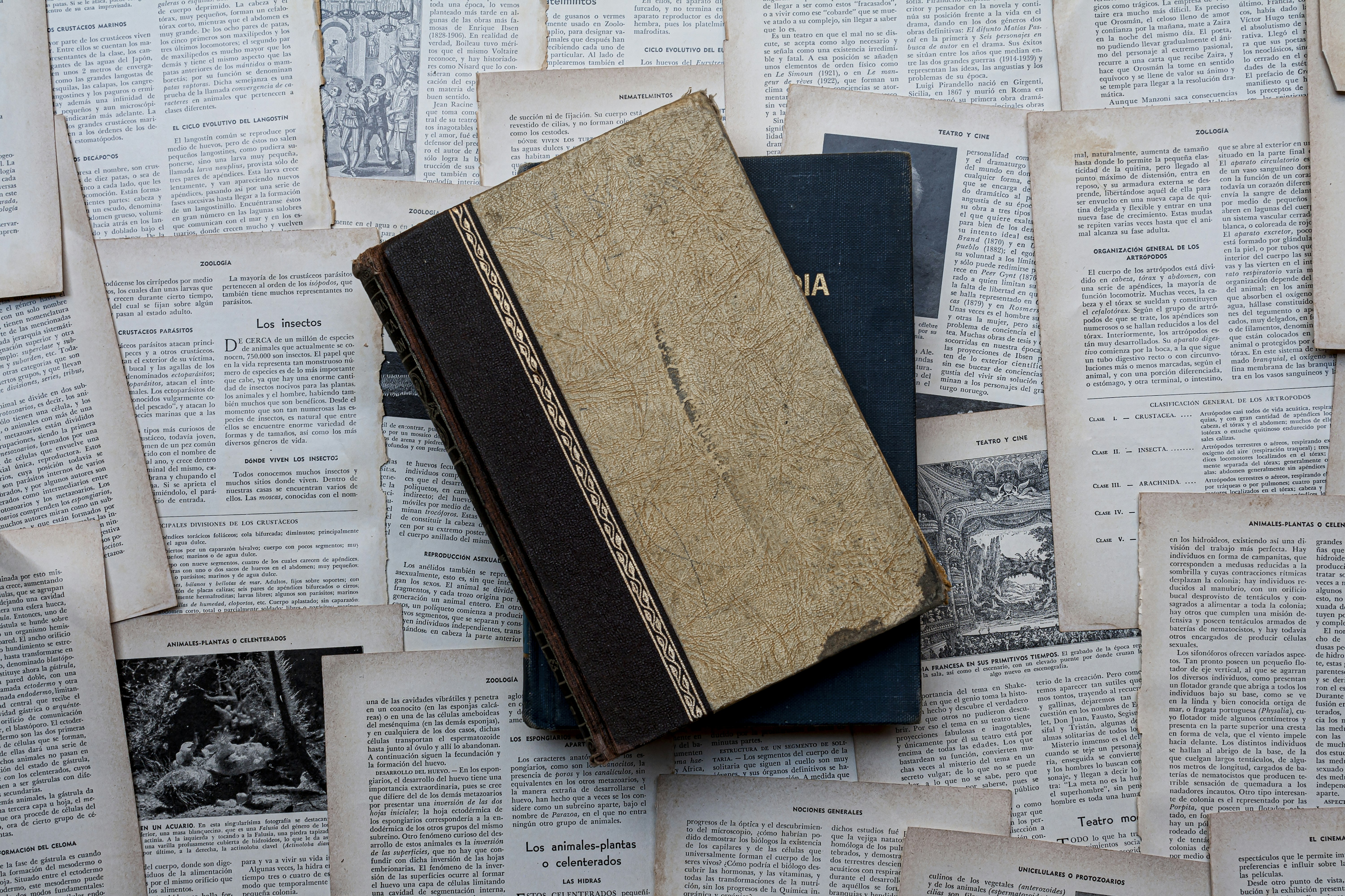 vintage book wallpaper, wallpaper, Easy Book Crafts for Adults: Creative DIY Ideas 1