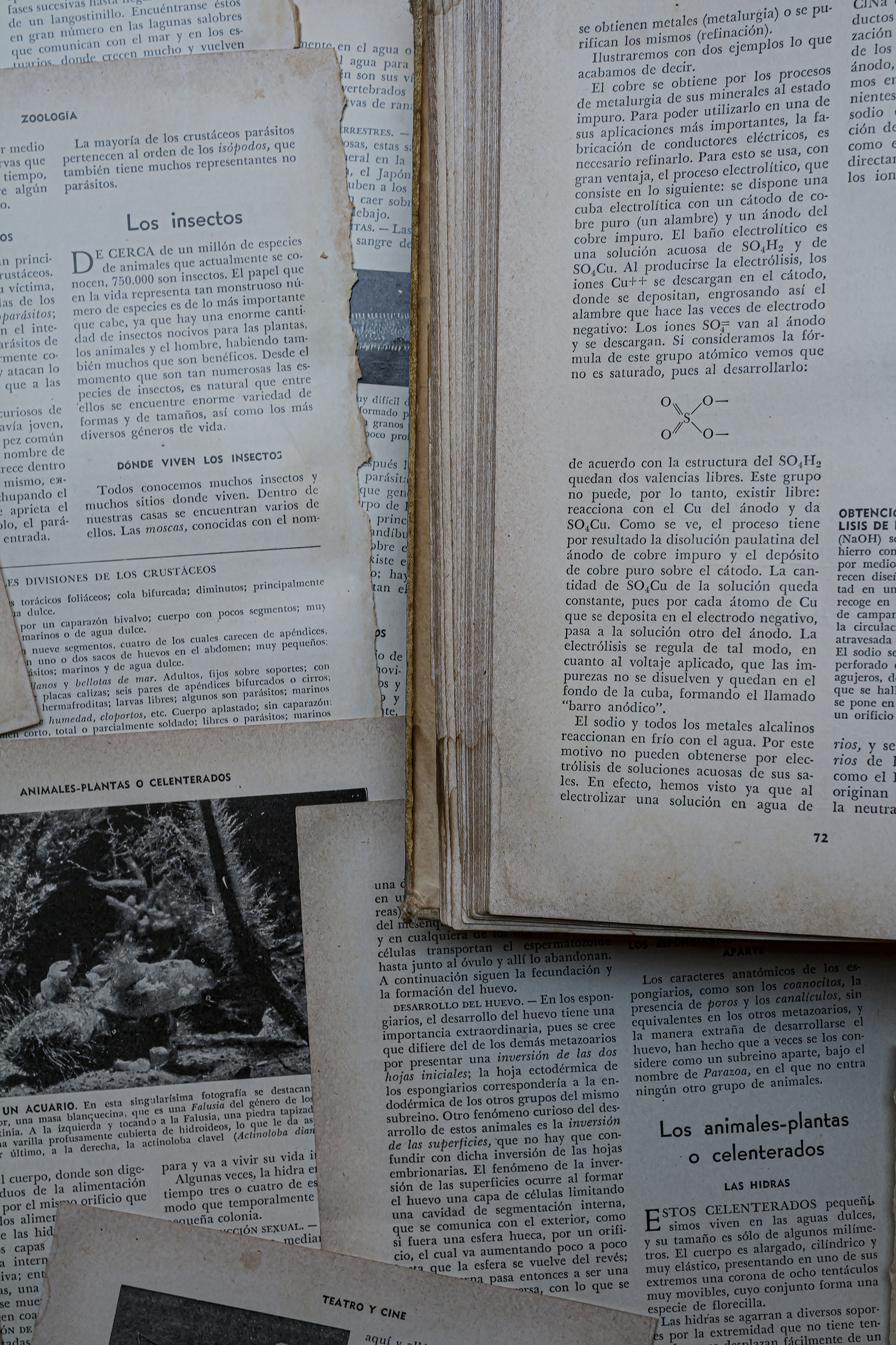 A high-angle shot of an antique open book with yellowed pages, showcasing the texture of the paper and the classic typography. Perfect for nostalgic or educational themes.