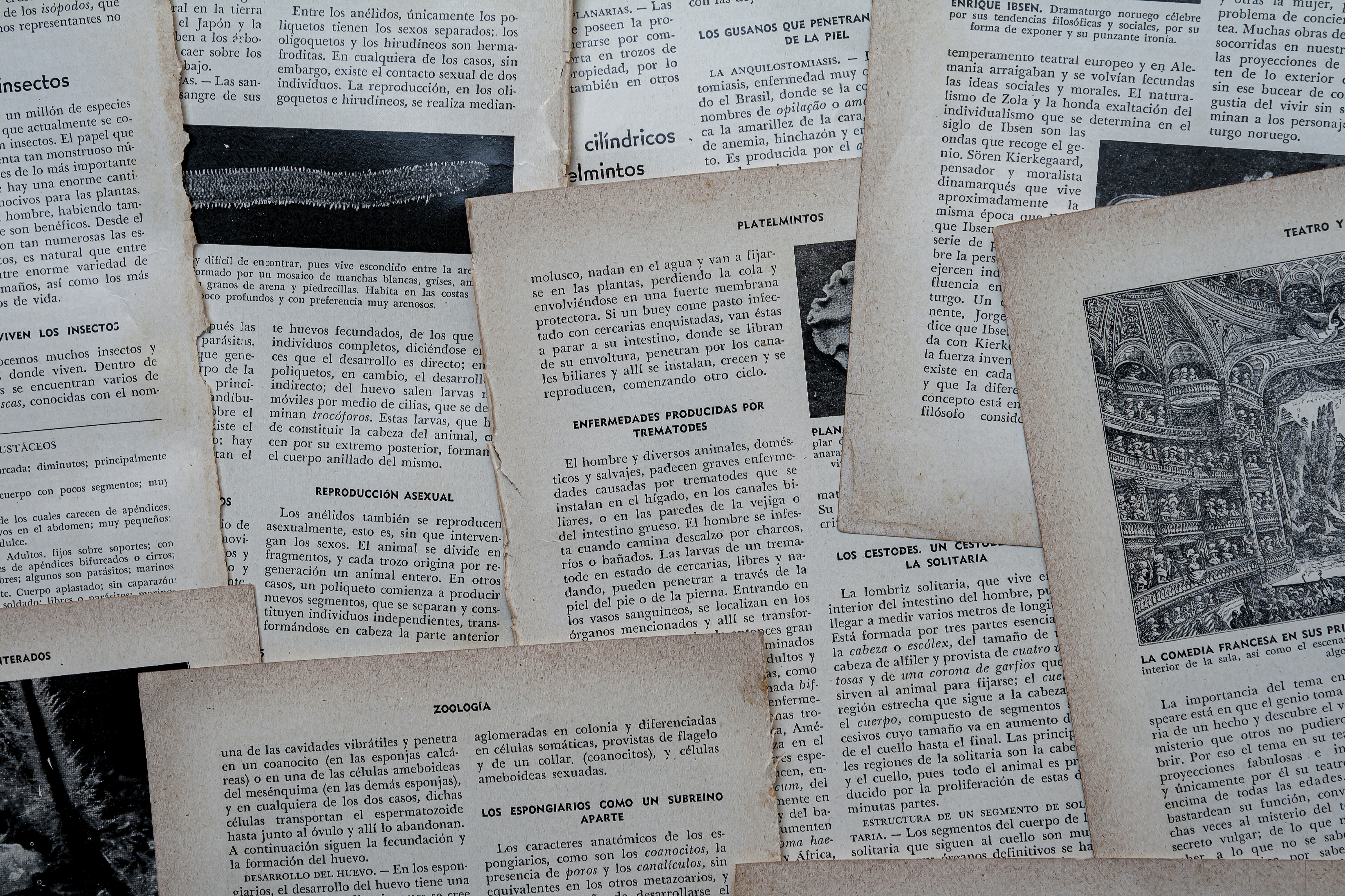 Scattered old documents with text and illustrations.