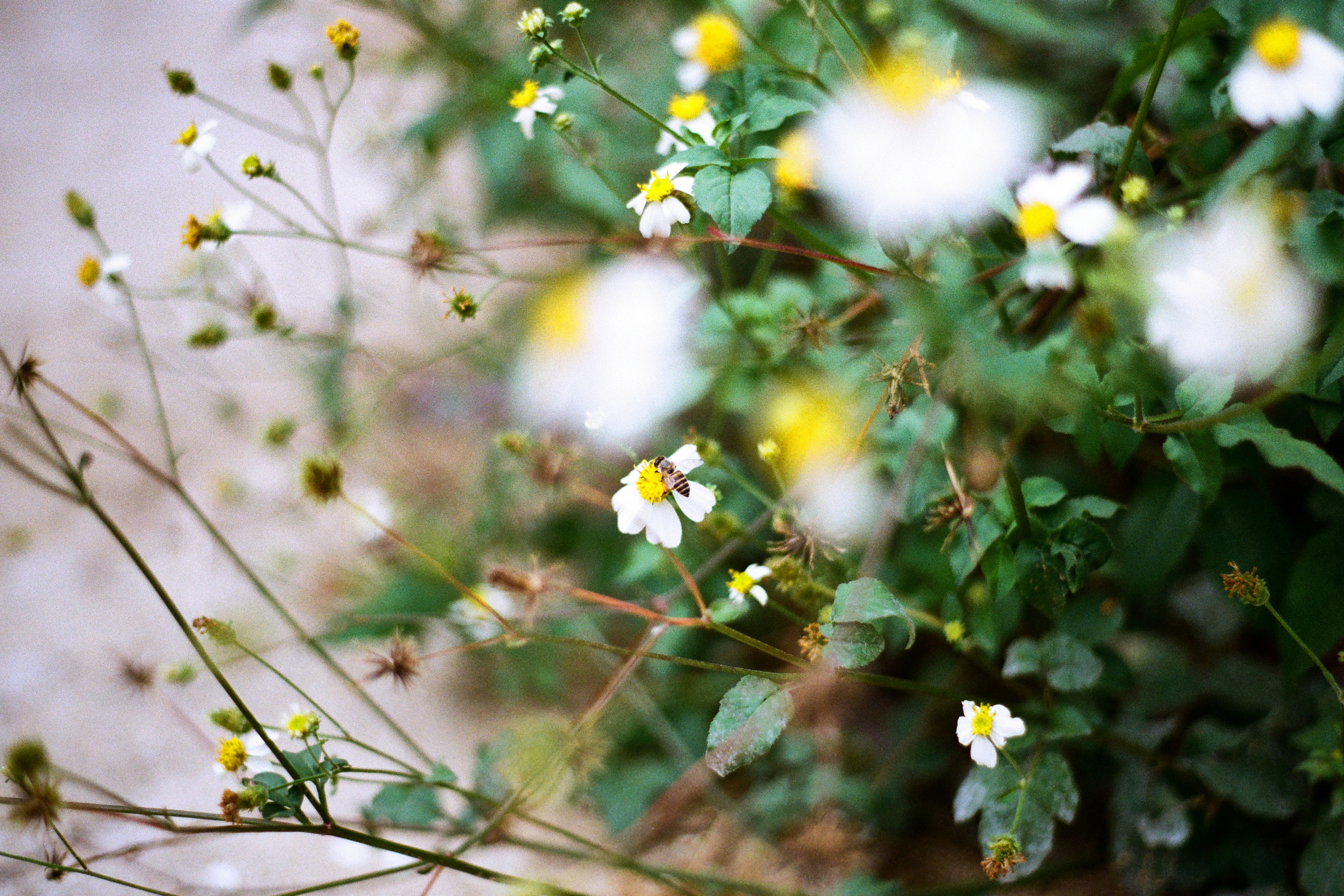 Photo by krzhck