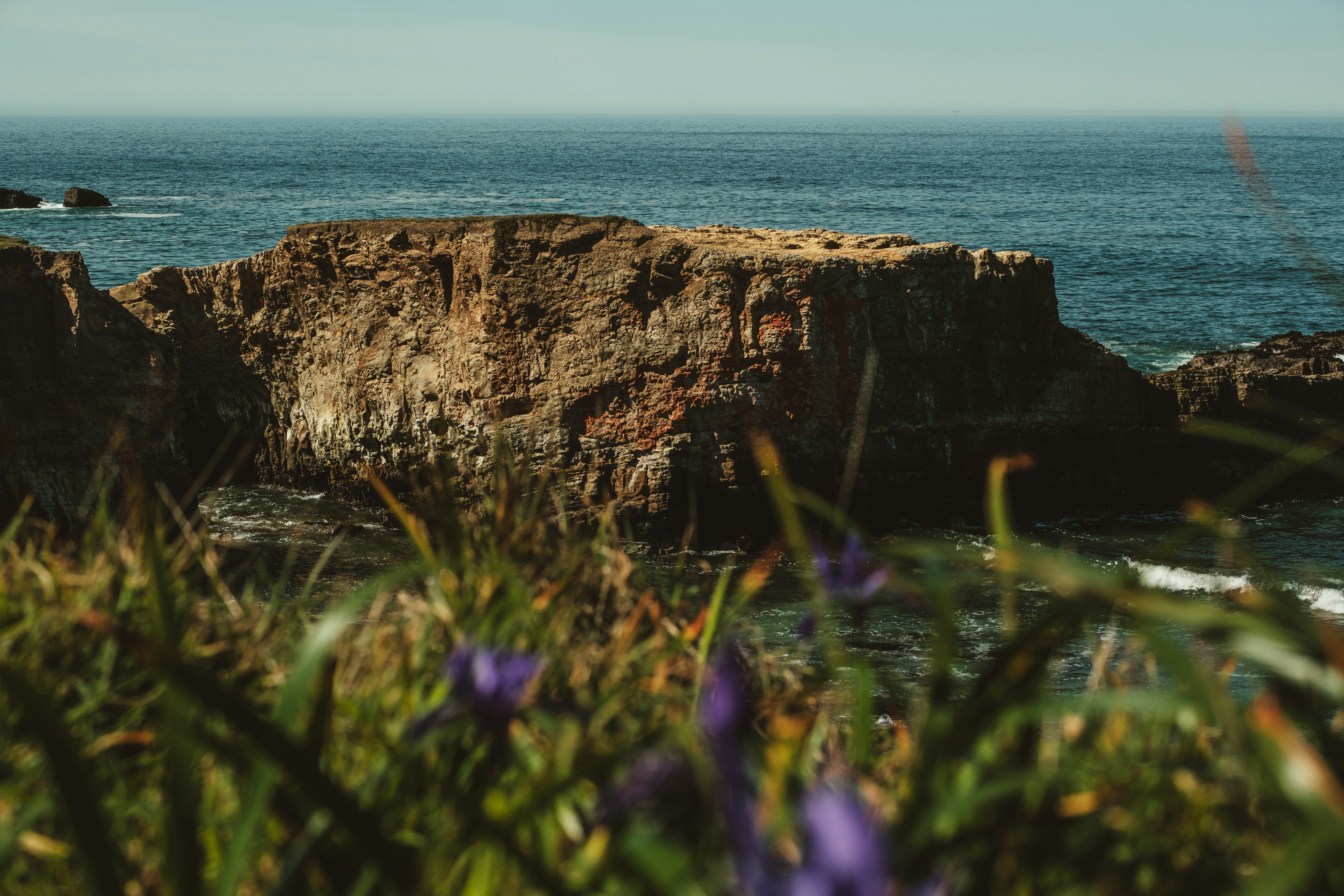 Rocky outcrop in the ocean with purple flowers.