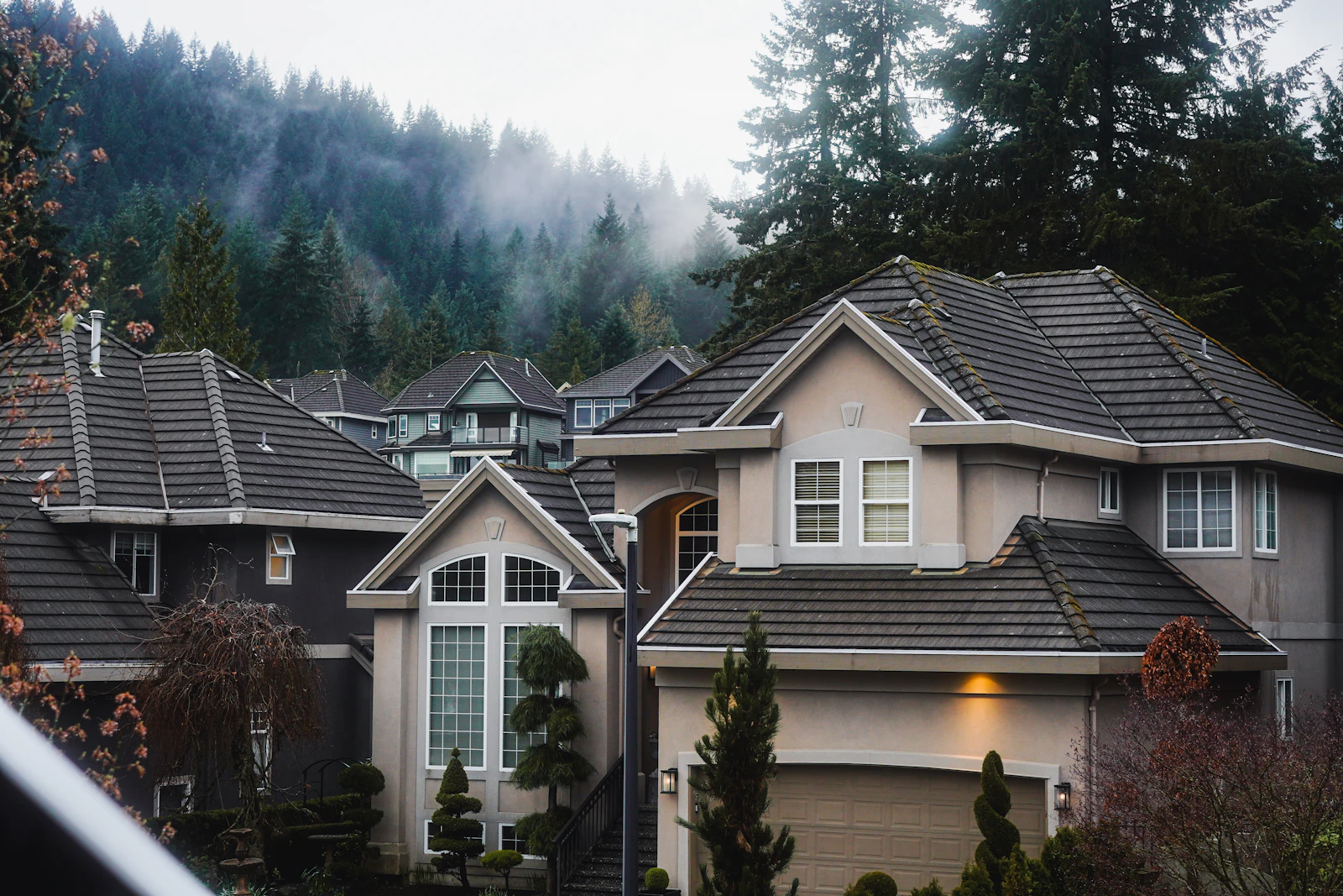 Foggy pine forest neighborhood in the Sierra Foothills near Grass Valley
