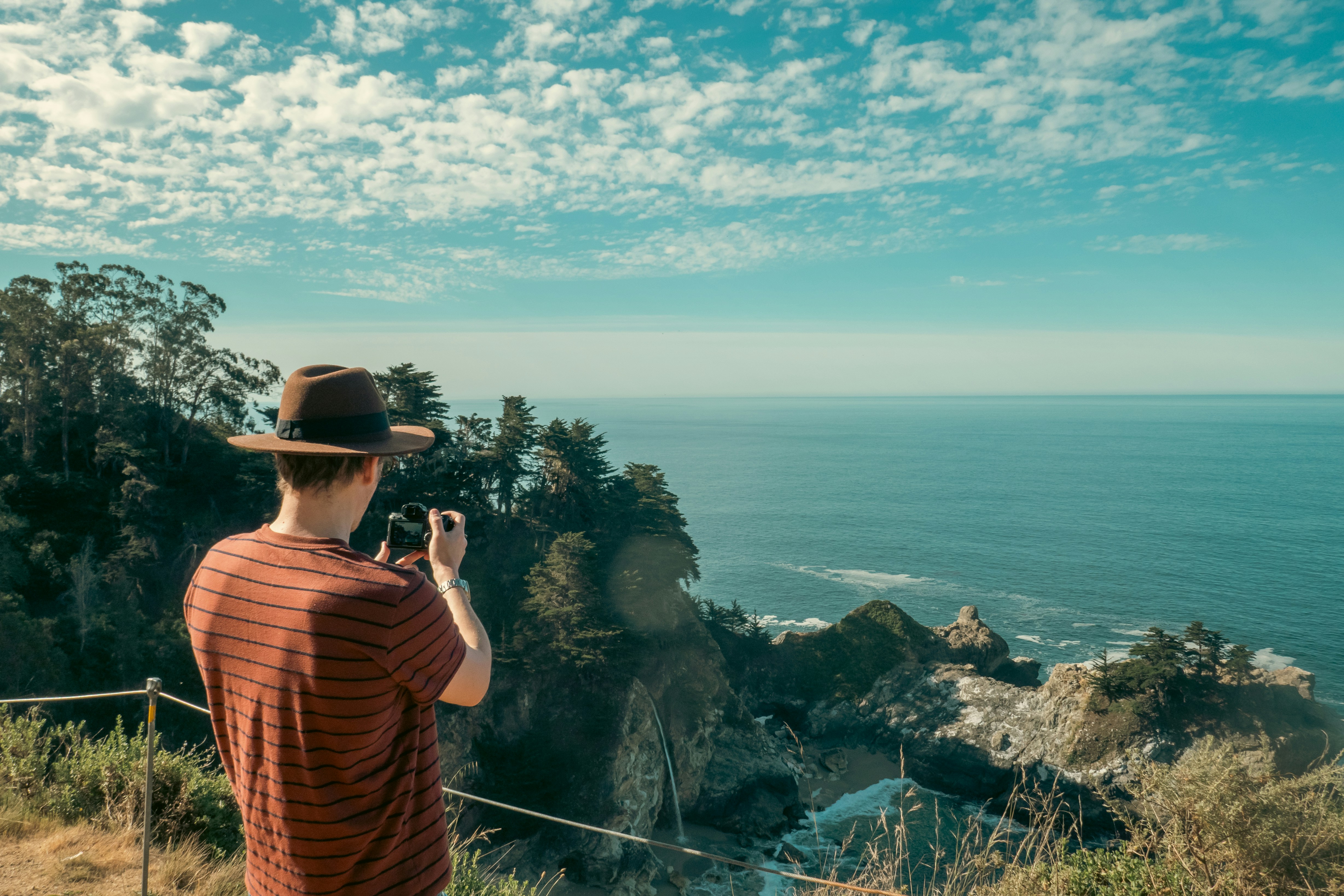 A single tree standing alone in a vast desert landscape.