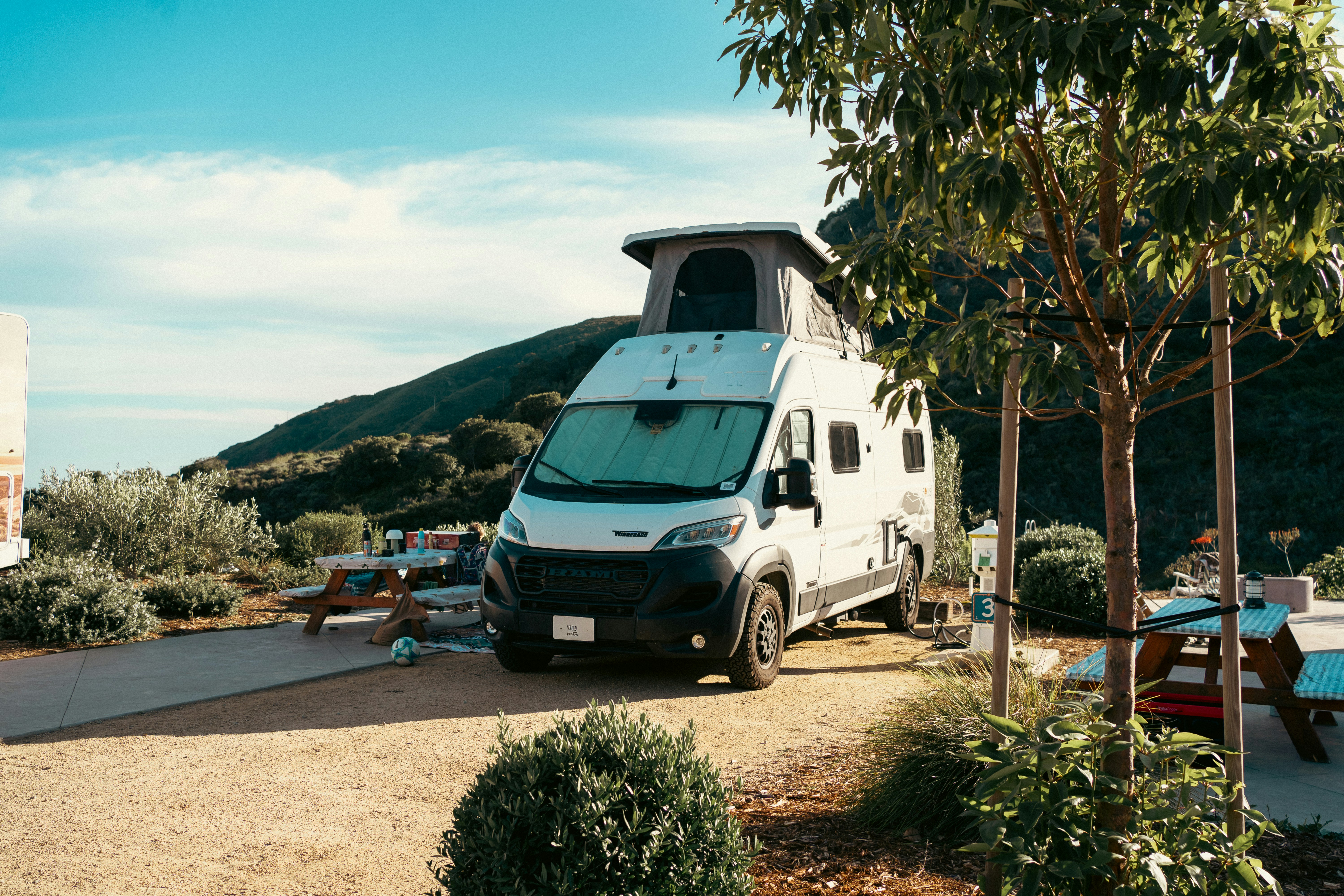 Lush forest canopy with sunlight filtering through the trees.