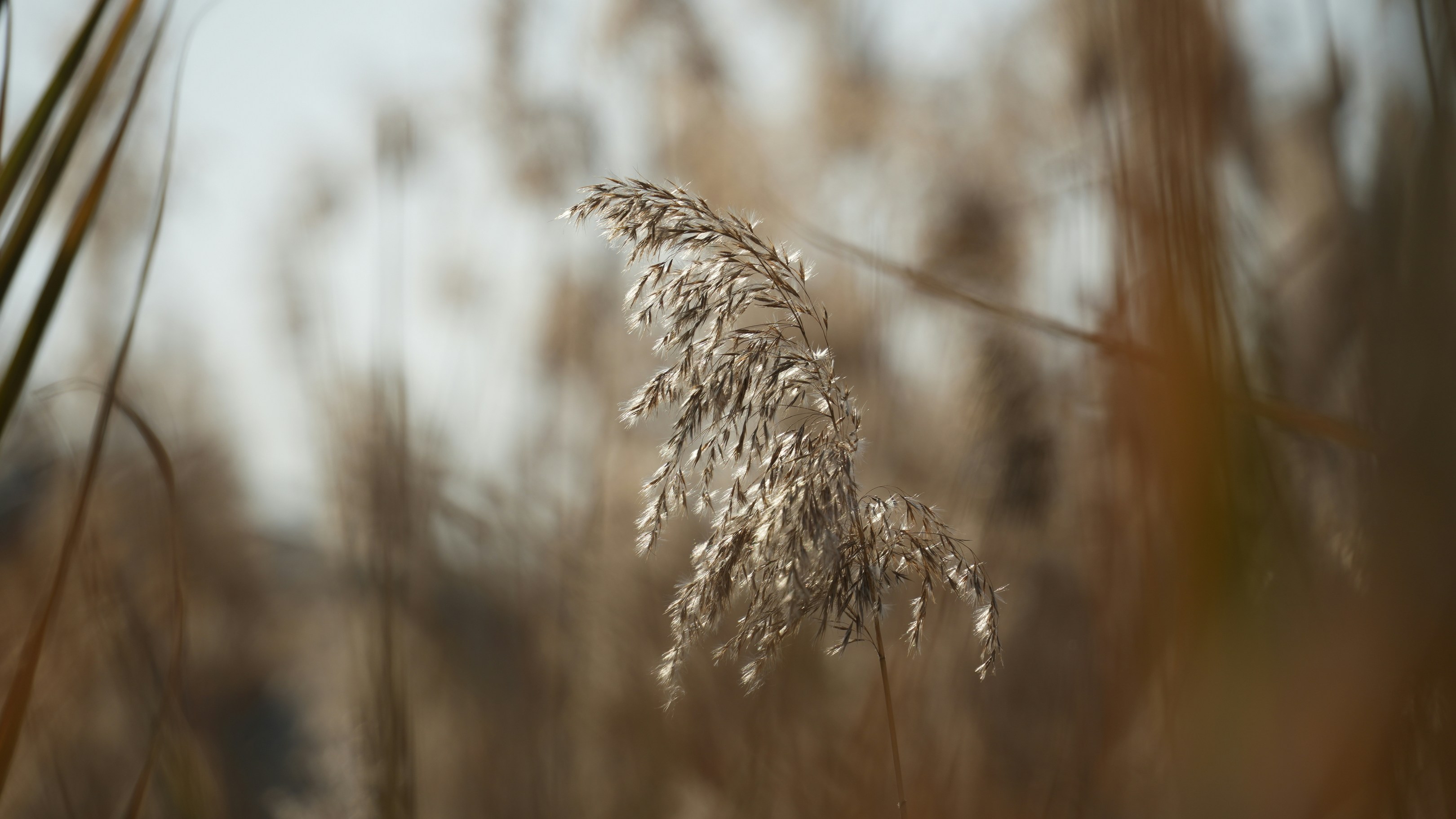 Photo by yimity