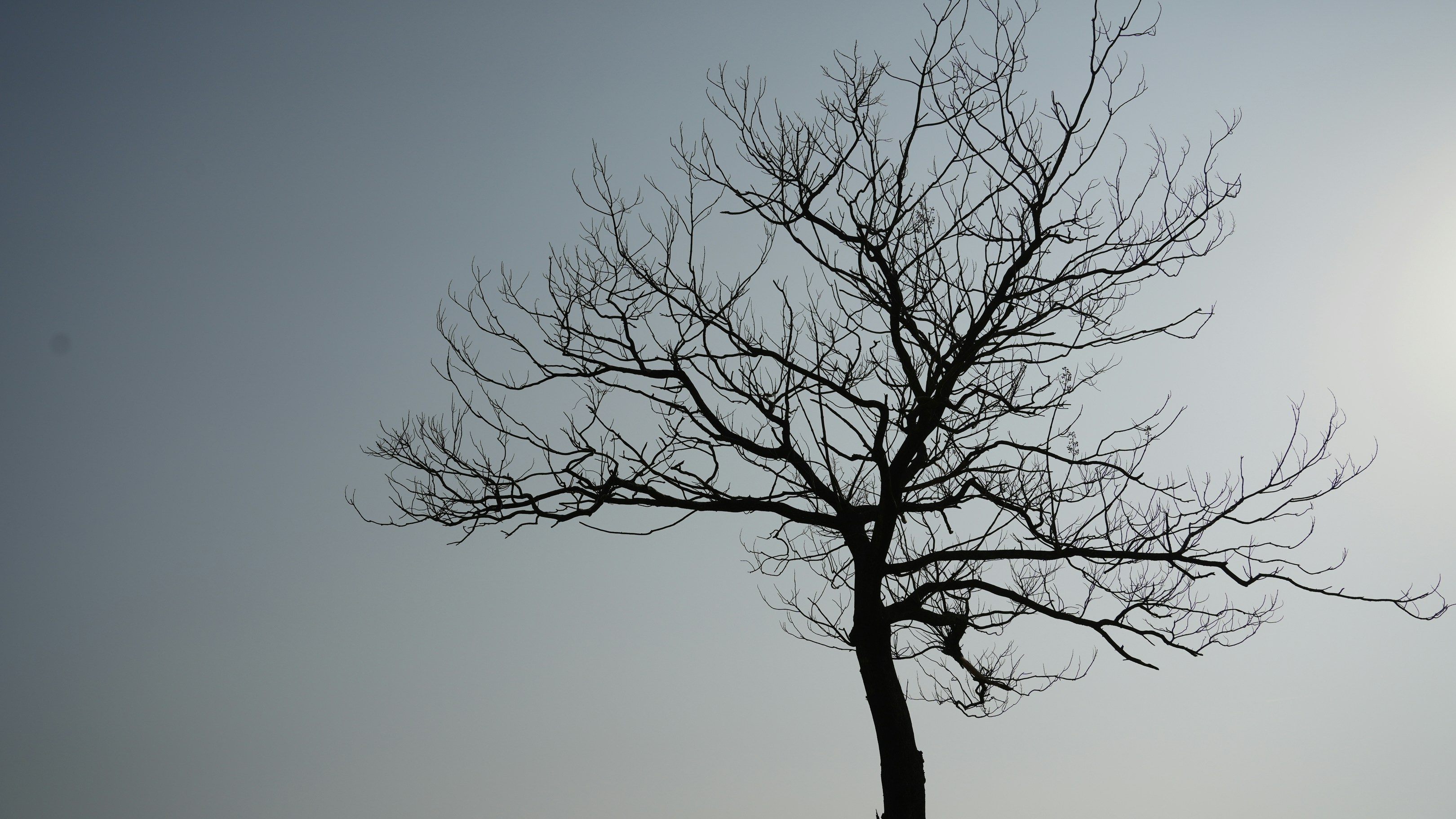 Photo by yimity