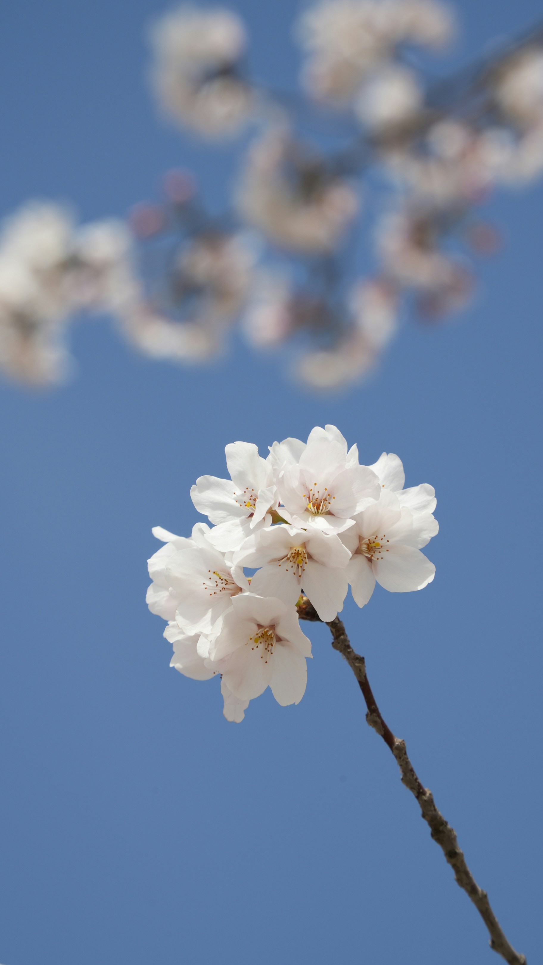 Photo by yimity