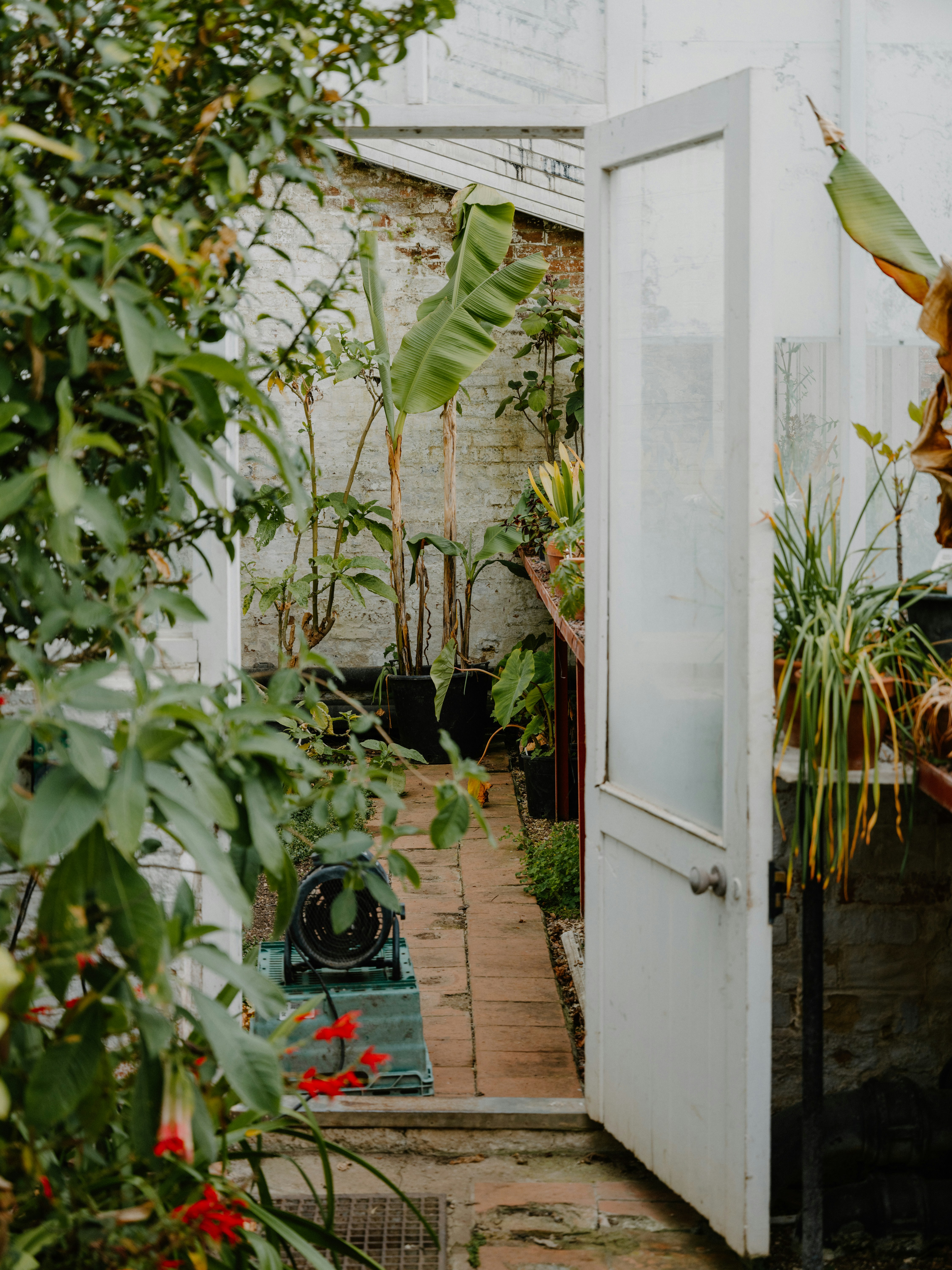 Photo by anniespratt