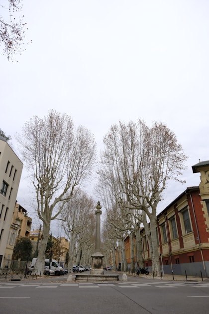 Aix-en-Provence en 1 jour : l'itinéraire idéal (2026)