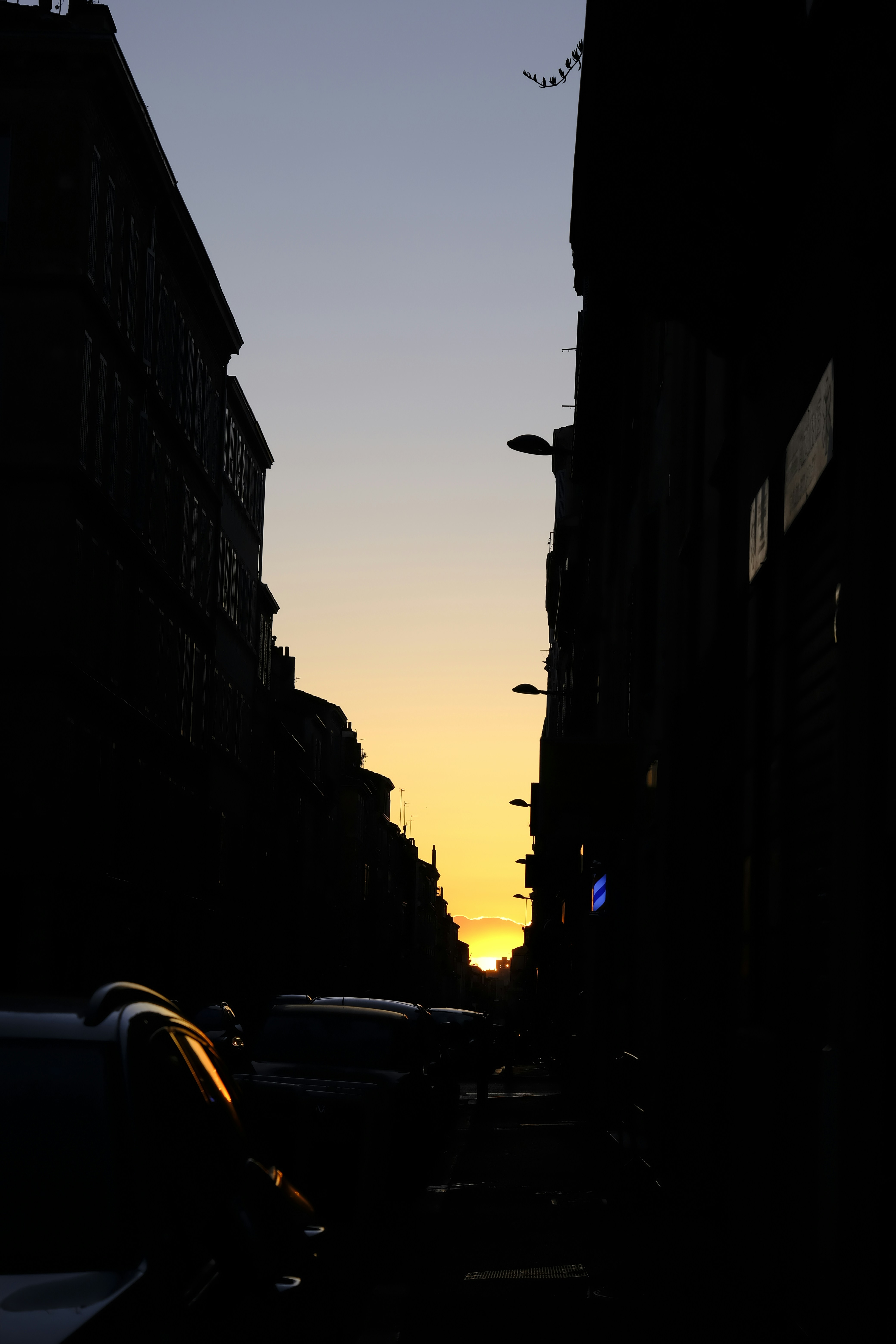 Photo by jessy_mar