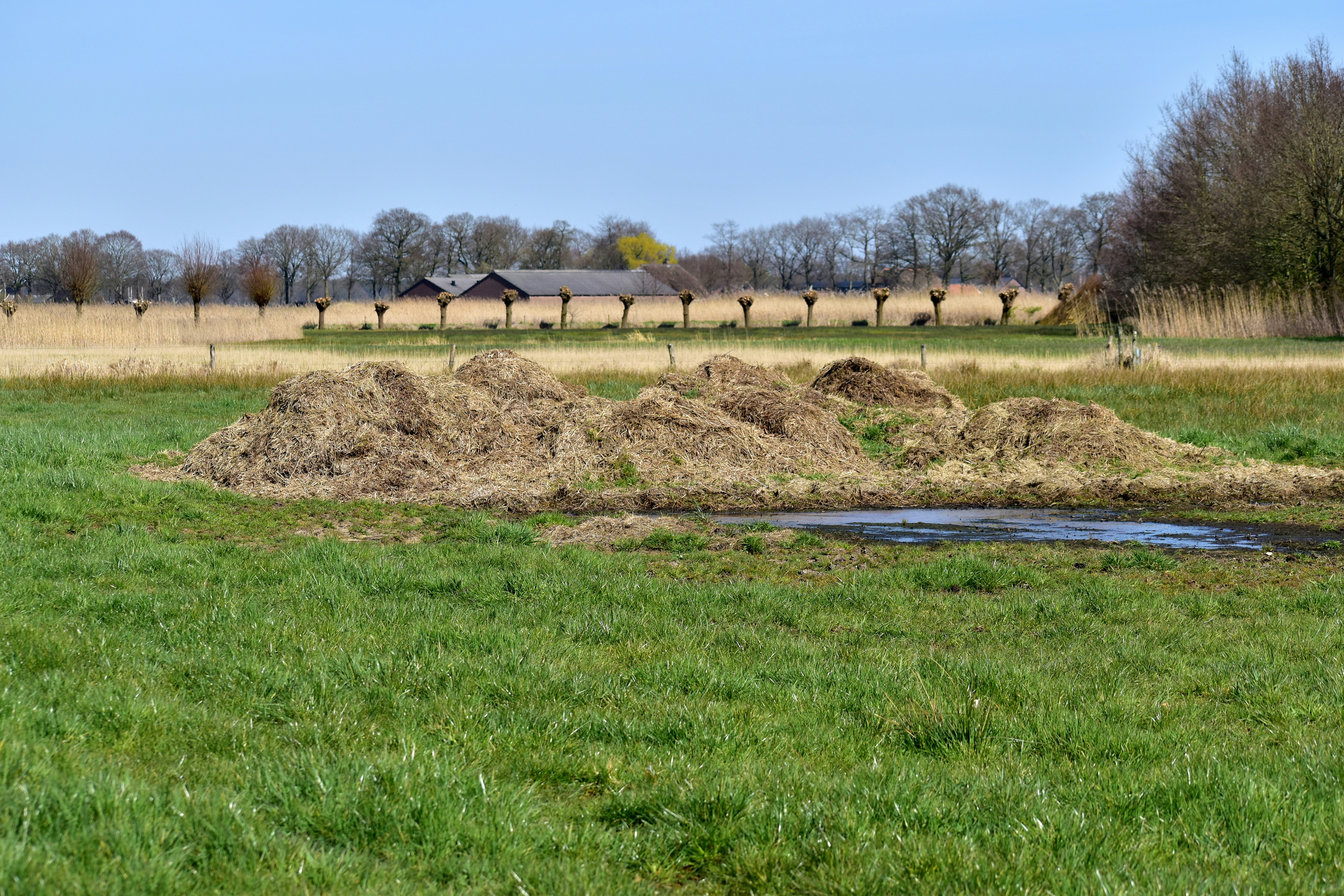 Un montón de hierba seca en un campo verde.