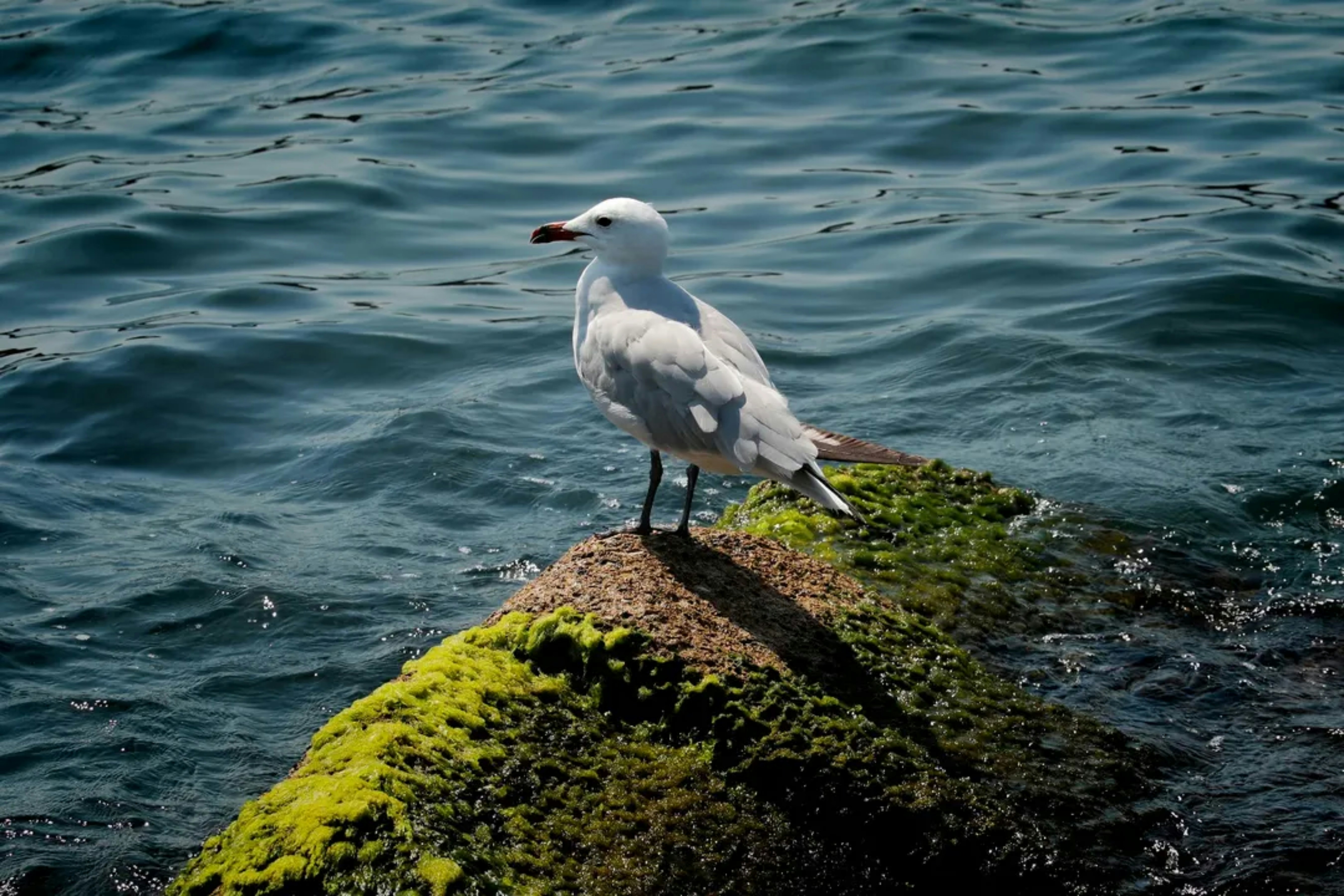 Photo by tehzeebkazmi