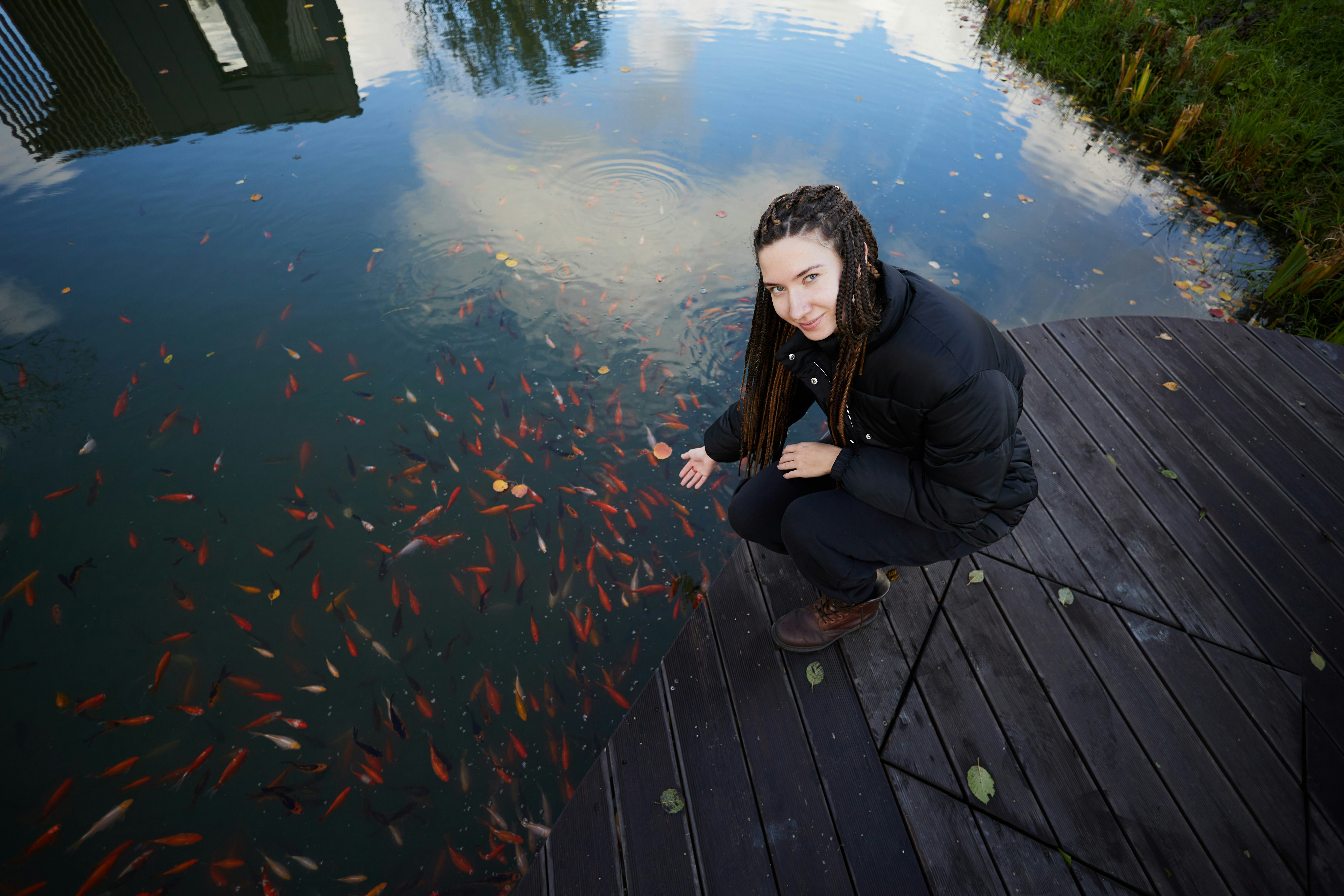Woman feeding a large school of goldfish in a pond