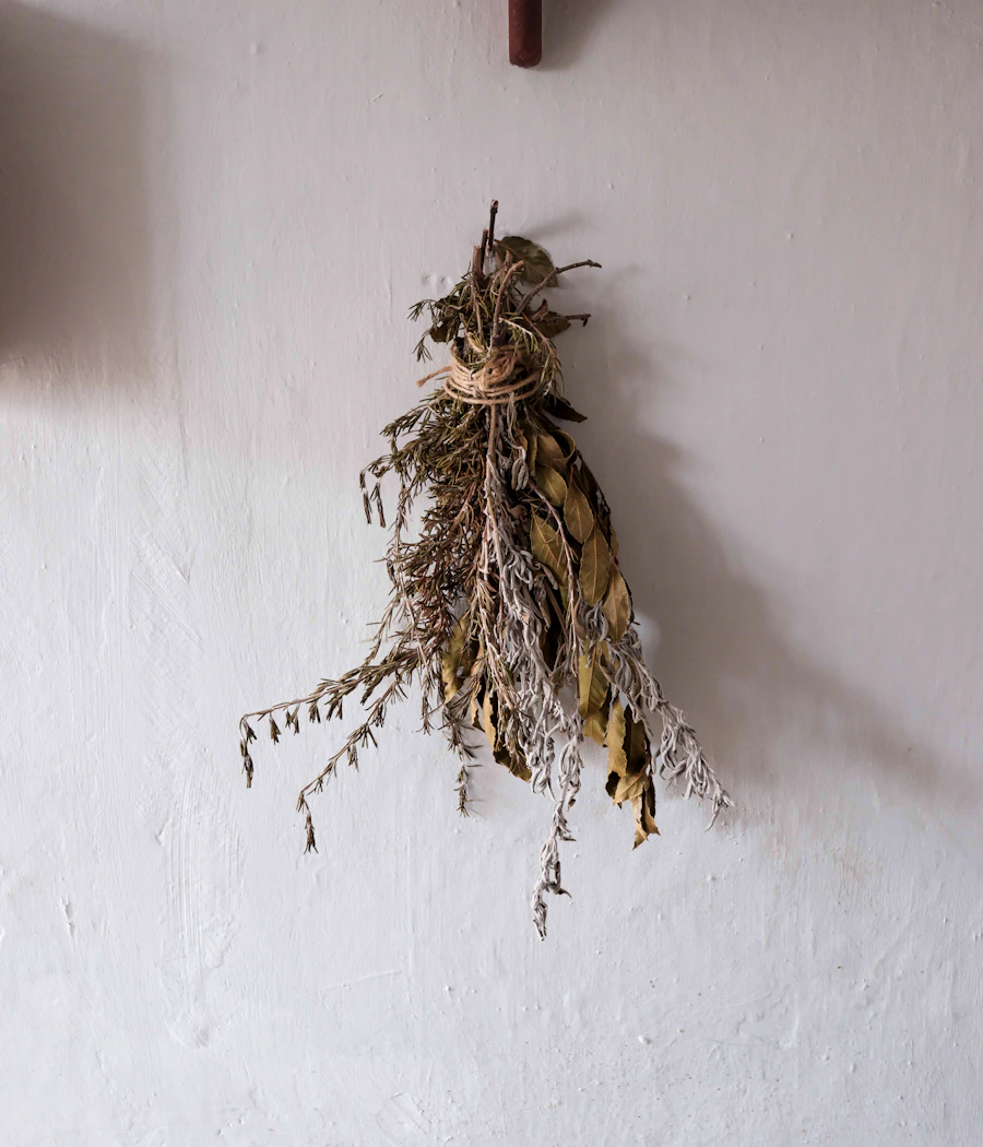Bouquets d'herbes aromatiques séchées accrochés, origan et thym de Crète