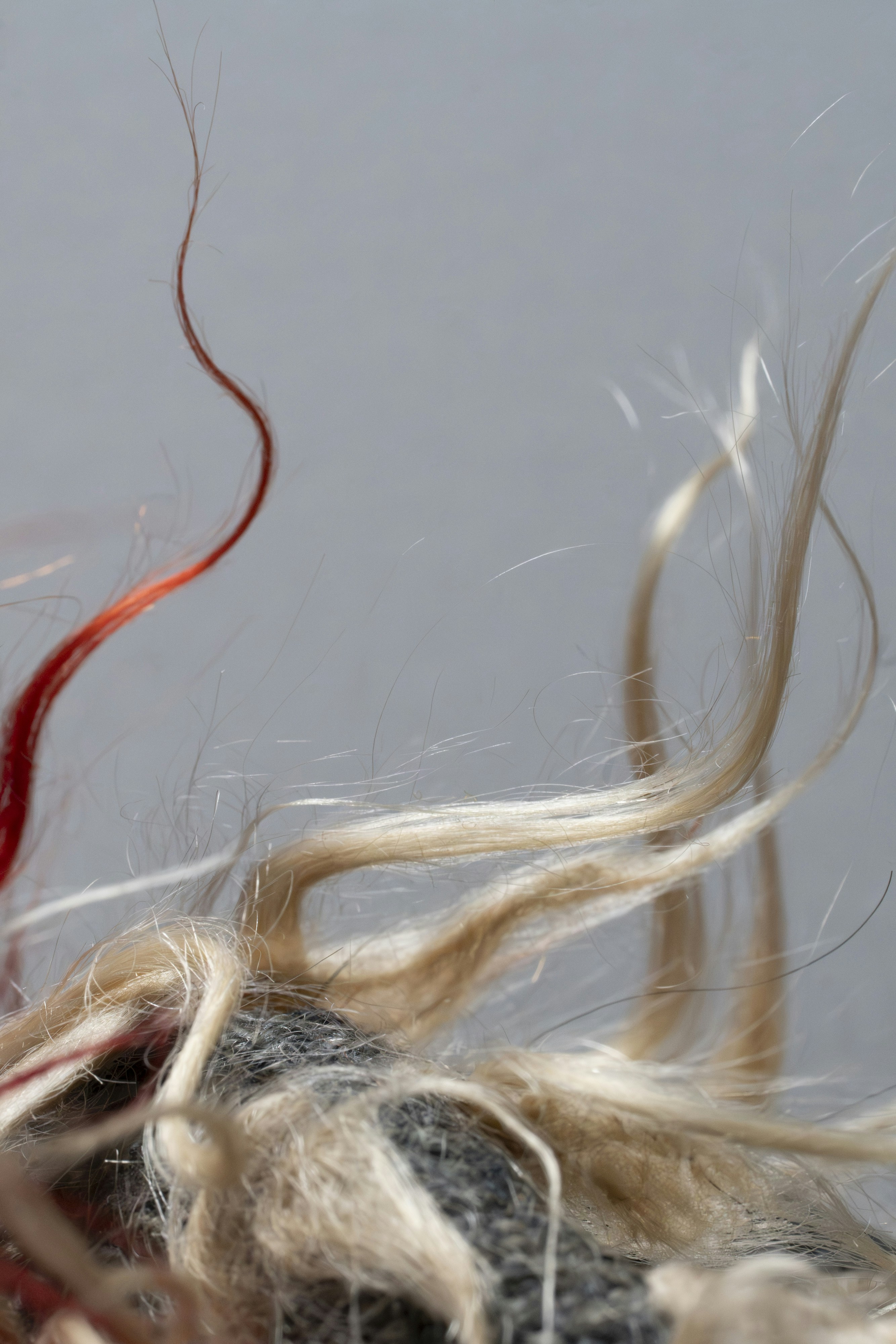 Close-up of tangled blonde and red hair strands