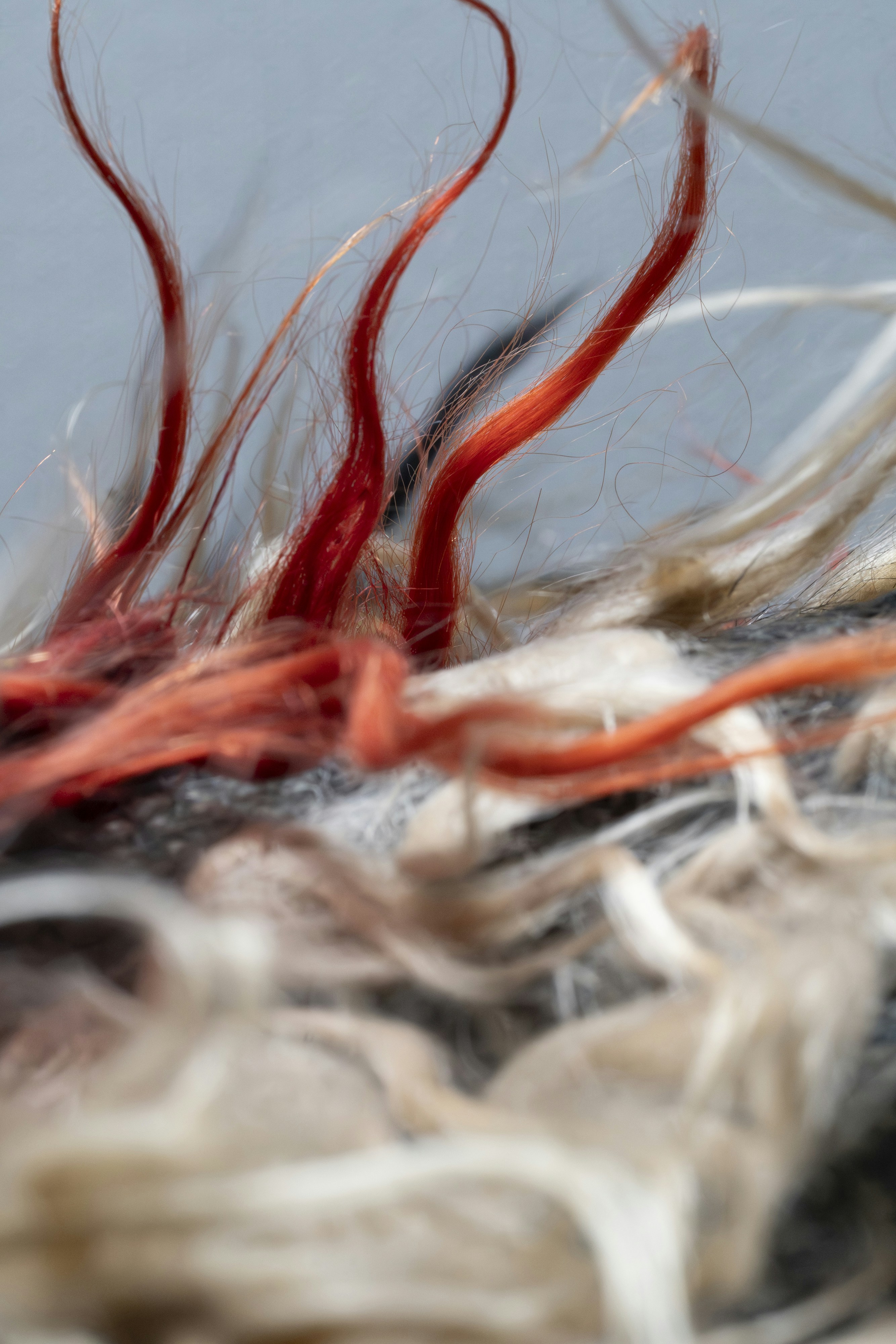 Close-up of colorful strands of yarn and fiber.