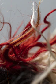 photos cordages fils emmêlés page trauma laetitia marchais cabrières