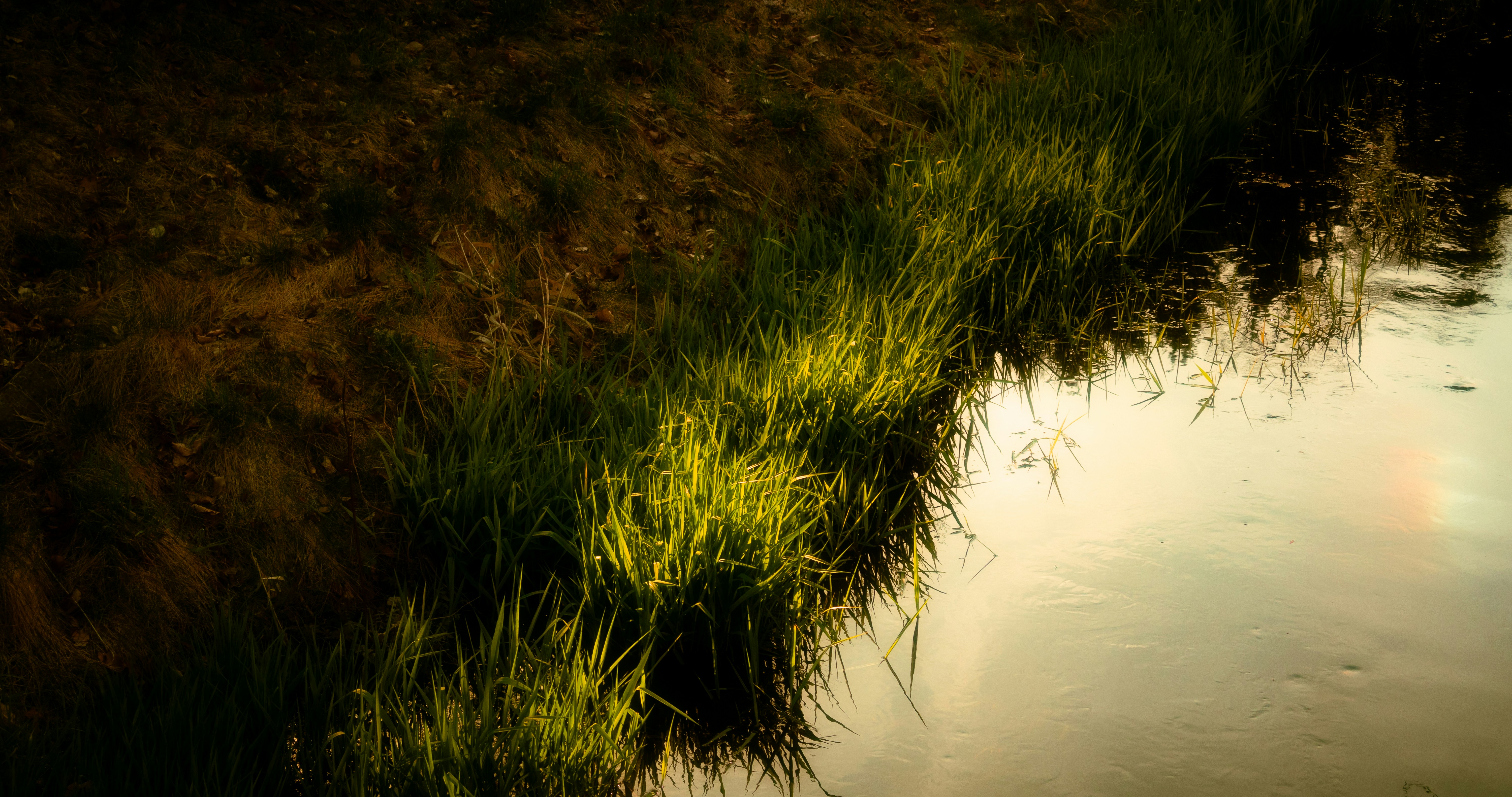 Photo by yunghollows