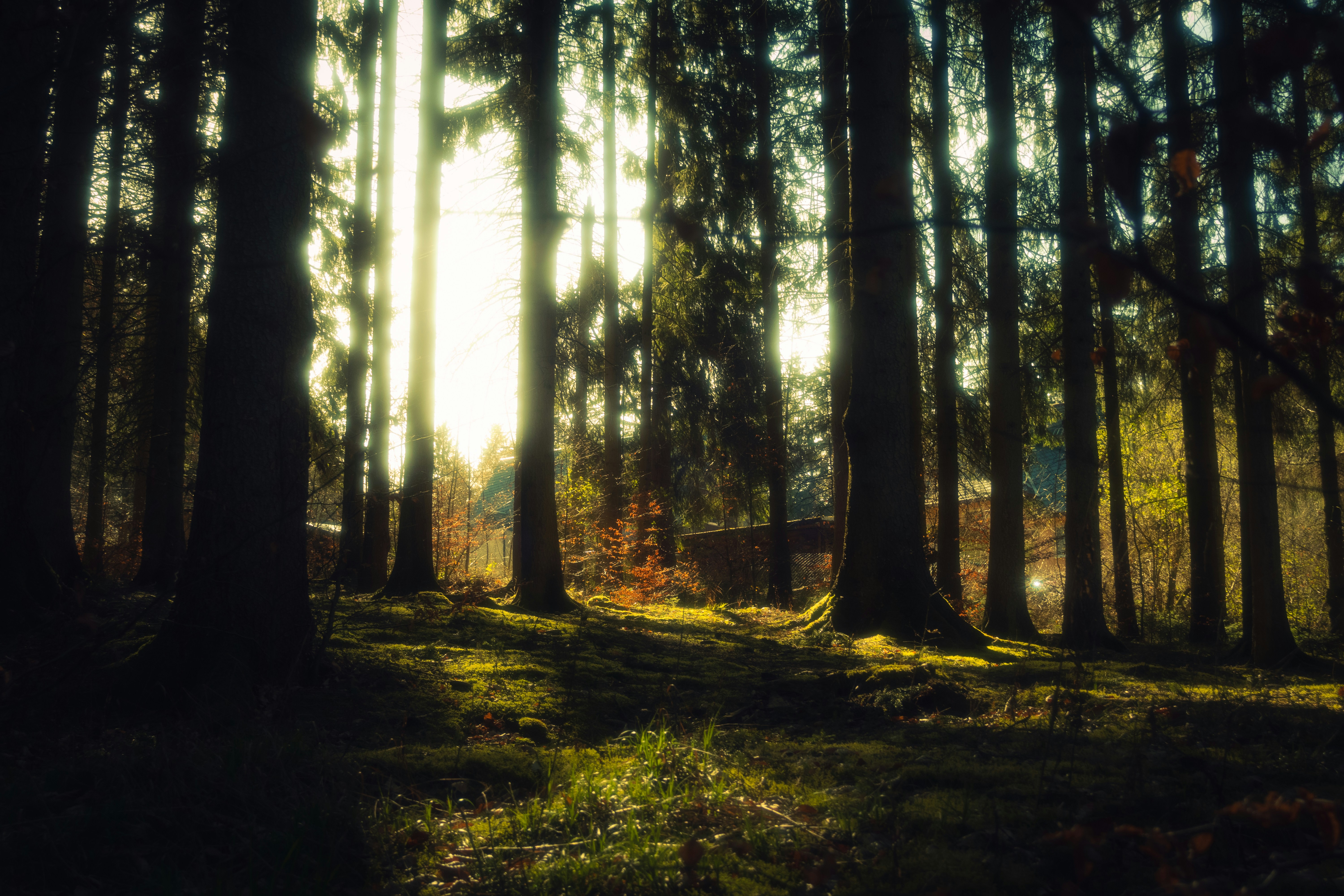 Photo by yunghollows