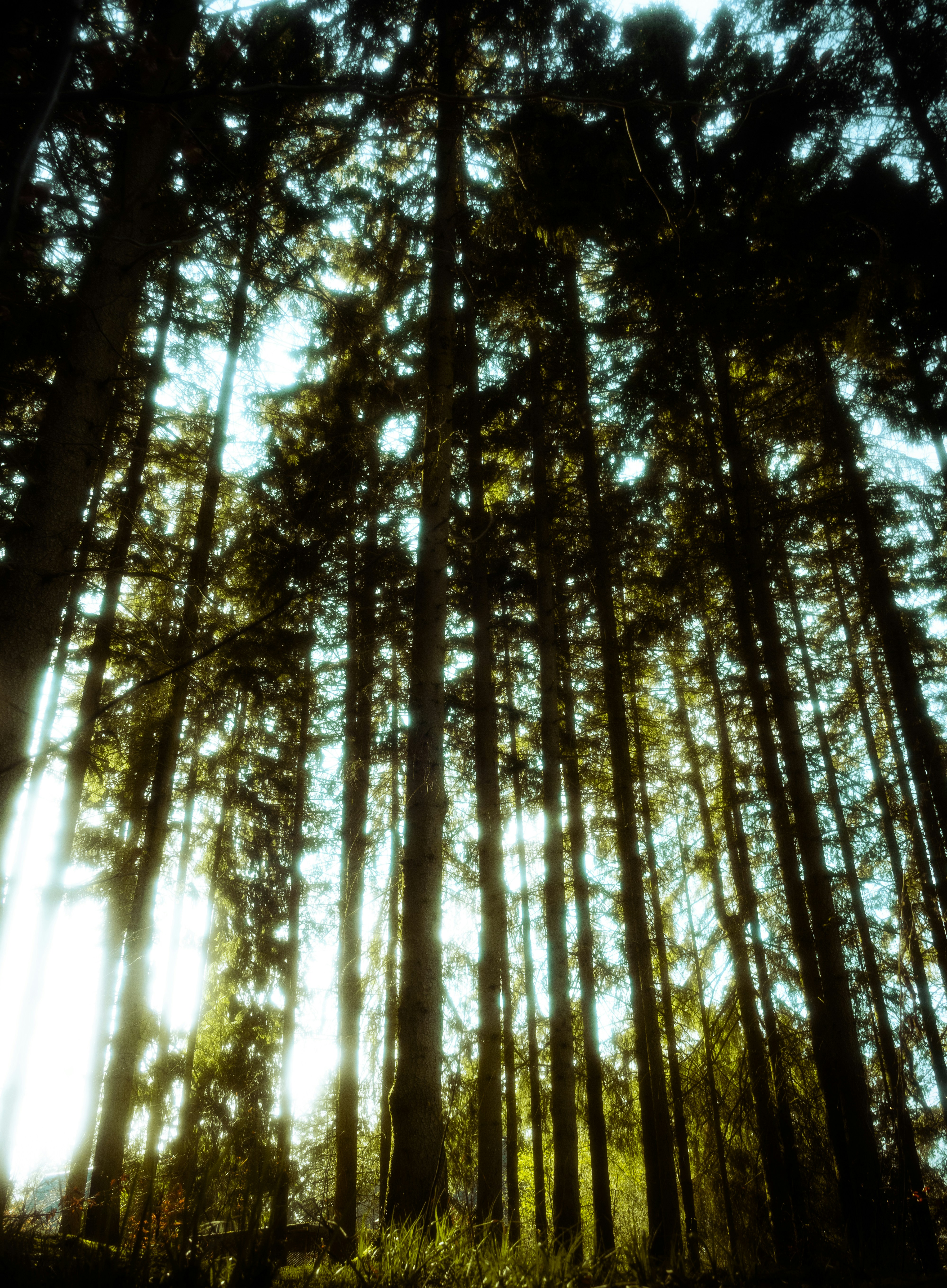 Photo by yunghollows