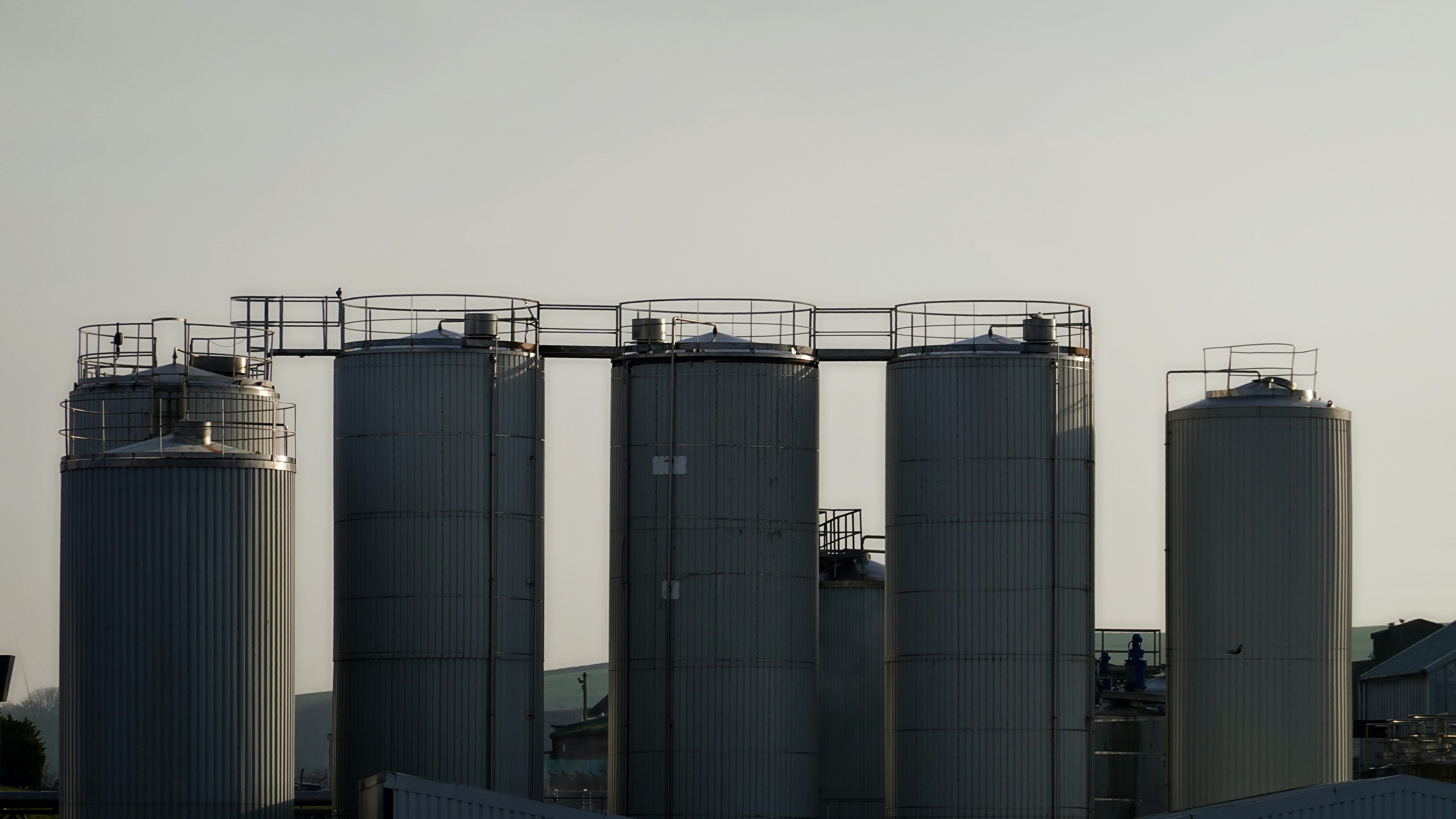 industrial food processing