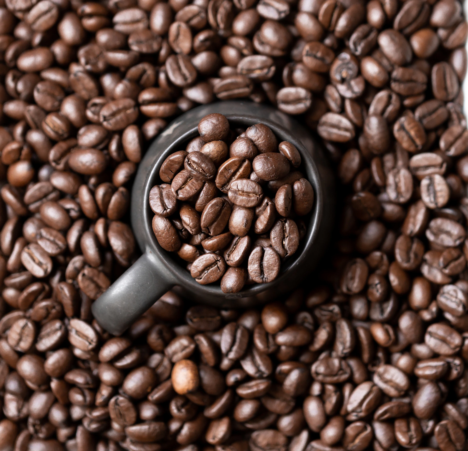 A scoop filled with roasted coffee beans