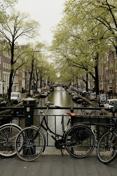 Nine Streets