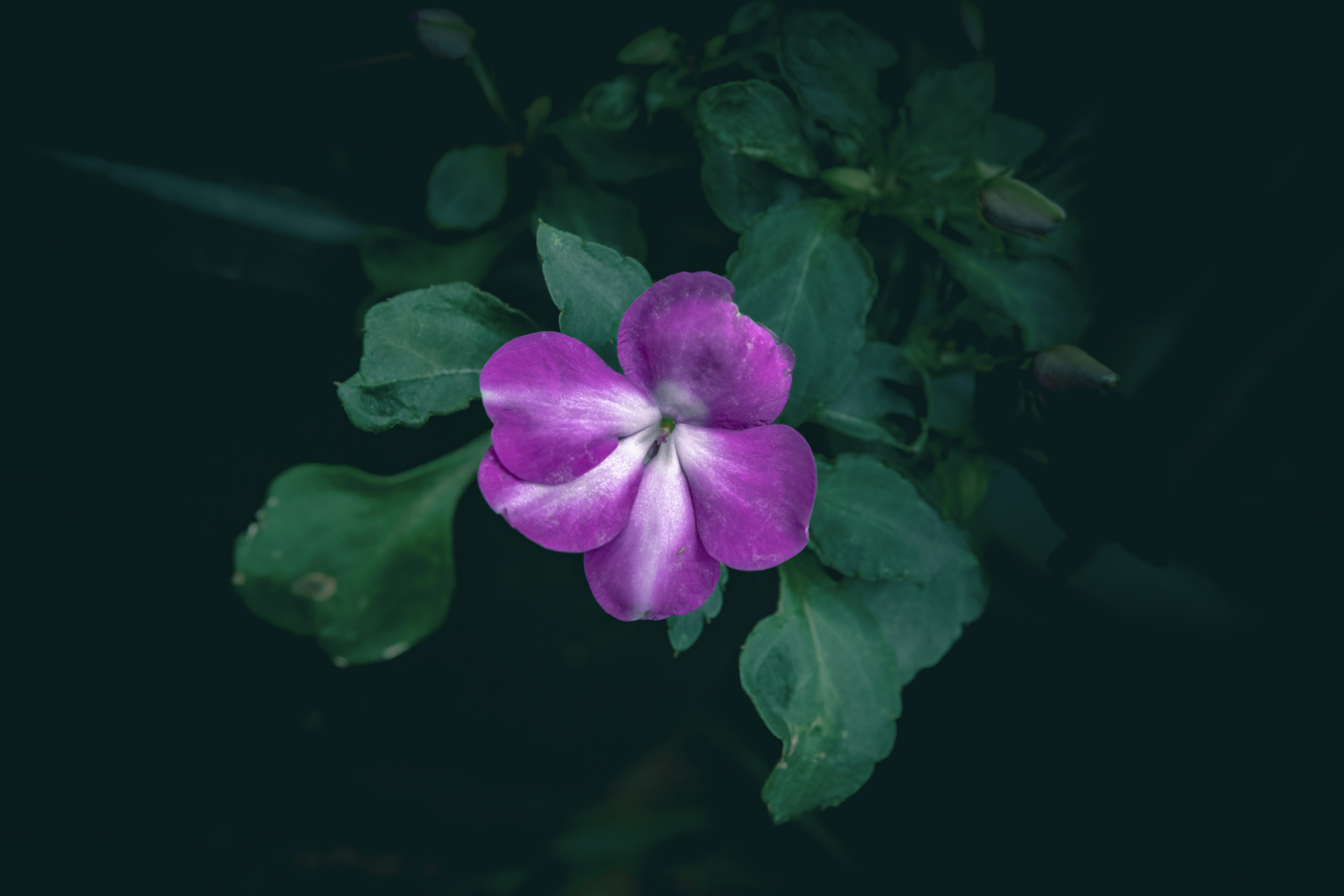 Photo by wyxina
