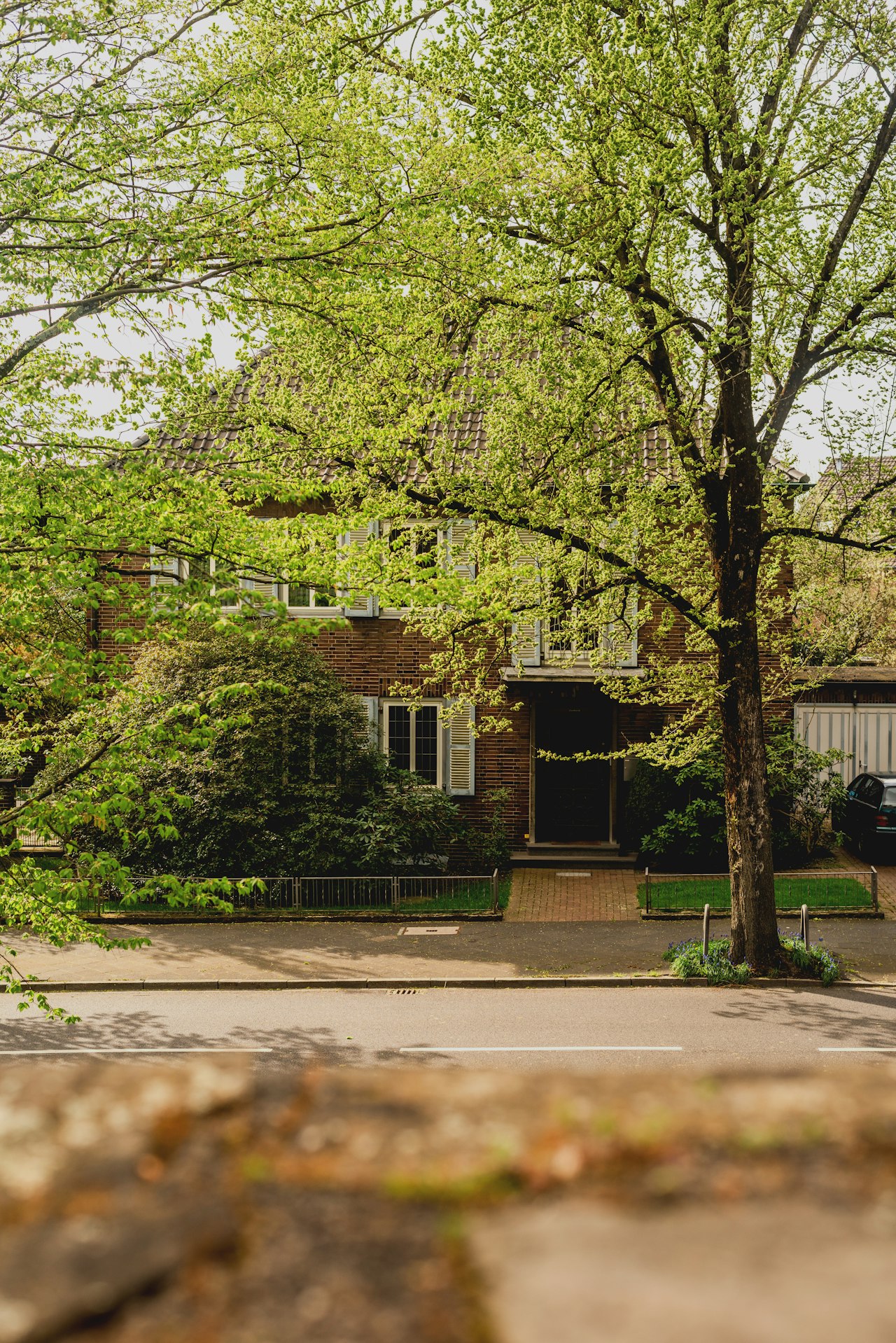 Removing a Tree Before You List or Renovate an Atlanta Home in 2026
