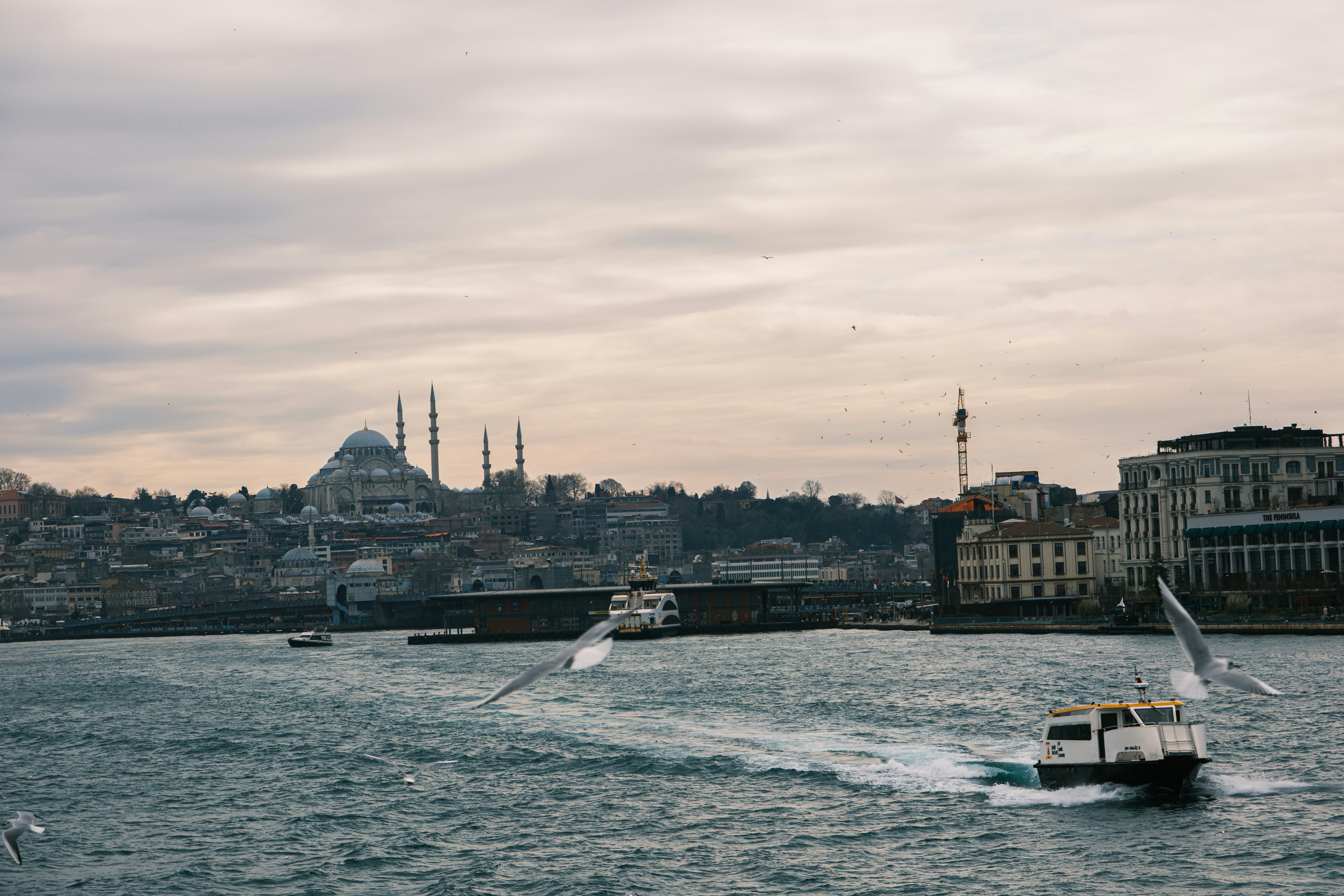 Photo by mvardar